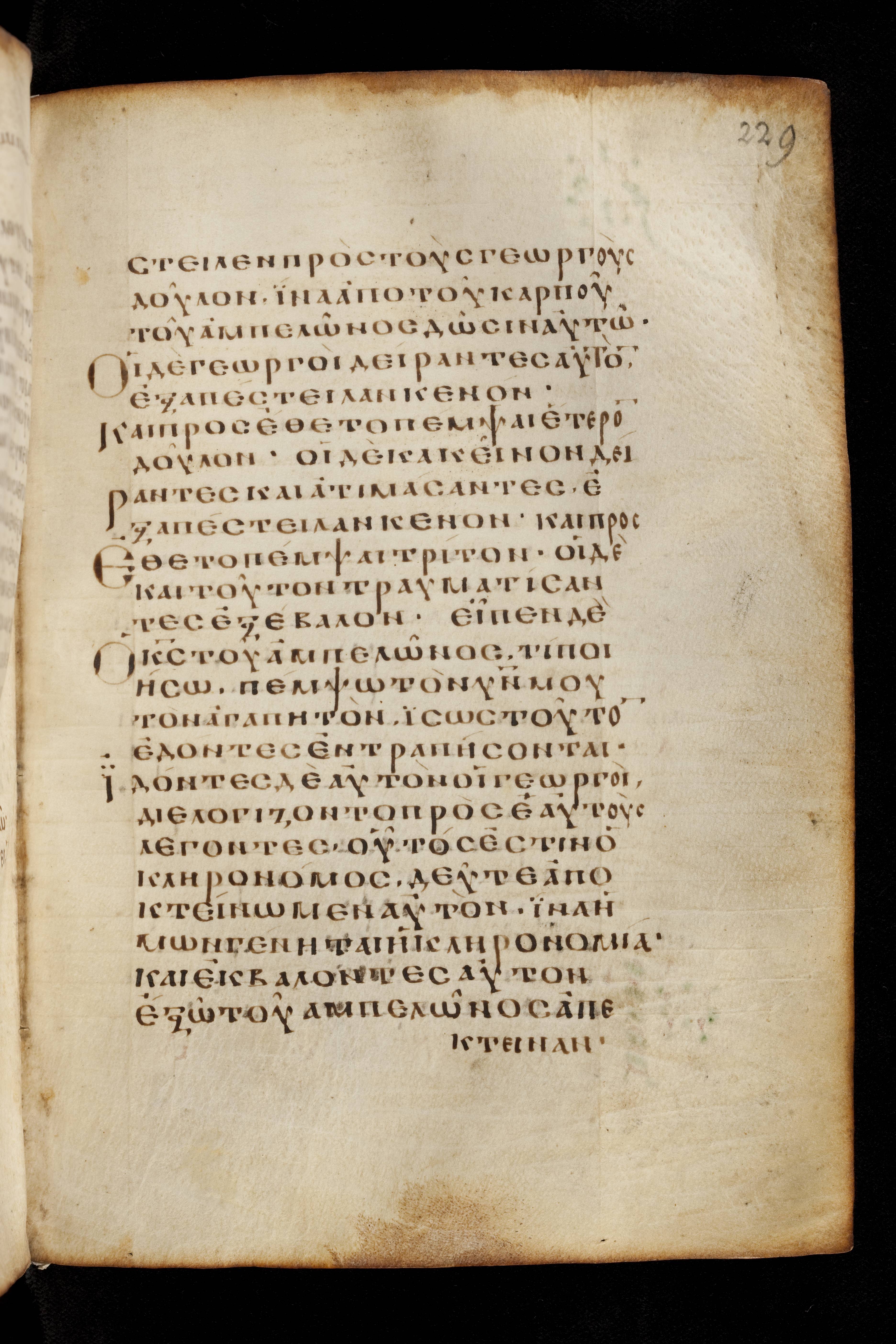 Codex Basilensis showing Luke 20:13 from 8th Century found in Constantinople (possibly), currently housed at Basel University Library, Basel, Switzerland