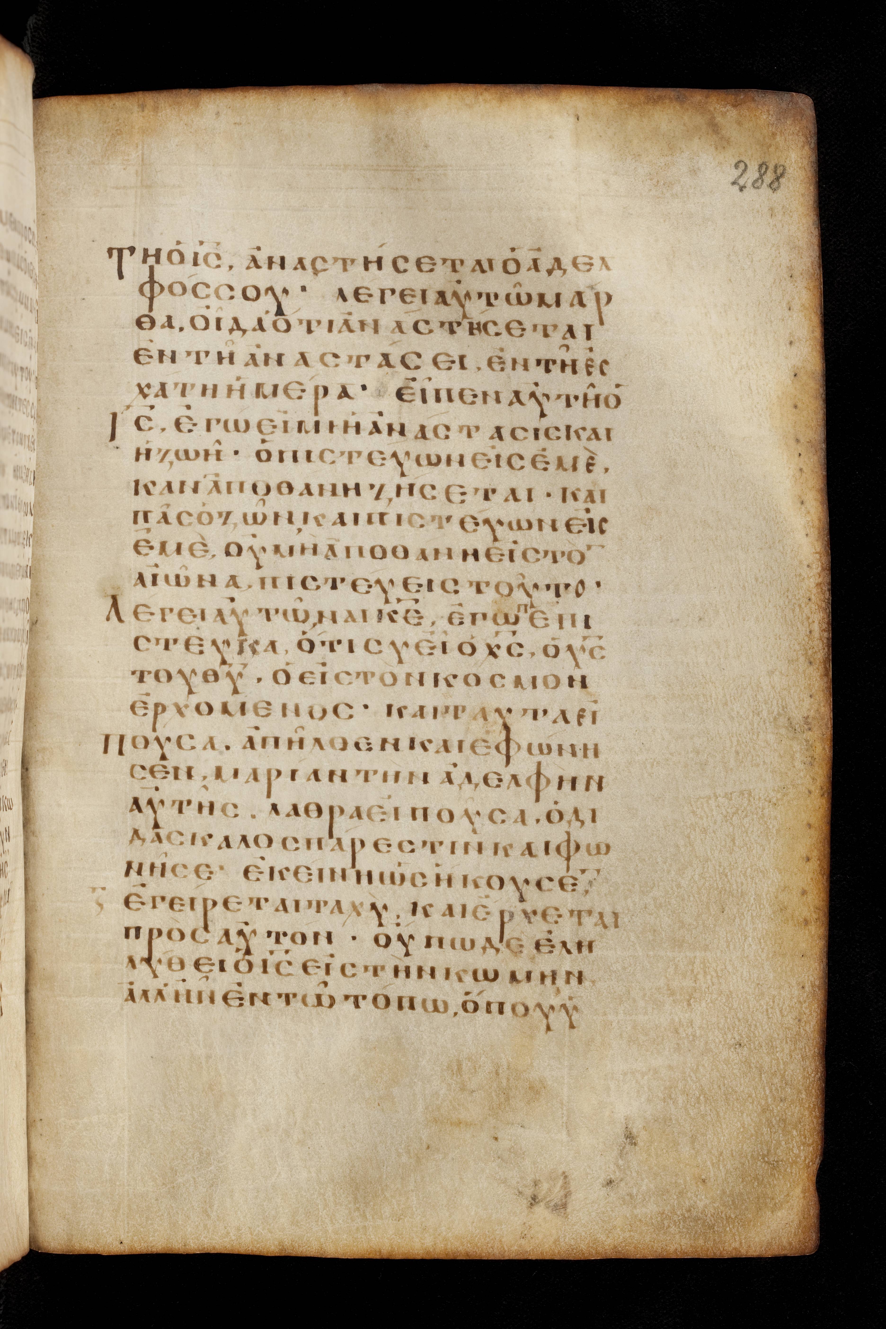 Codex Basilensis showing John 11:26 from 8th Century found in Constantinople (possibly), currently housed at Basel University Library, Basel, Switzerland