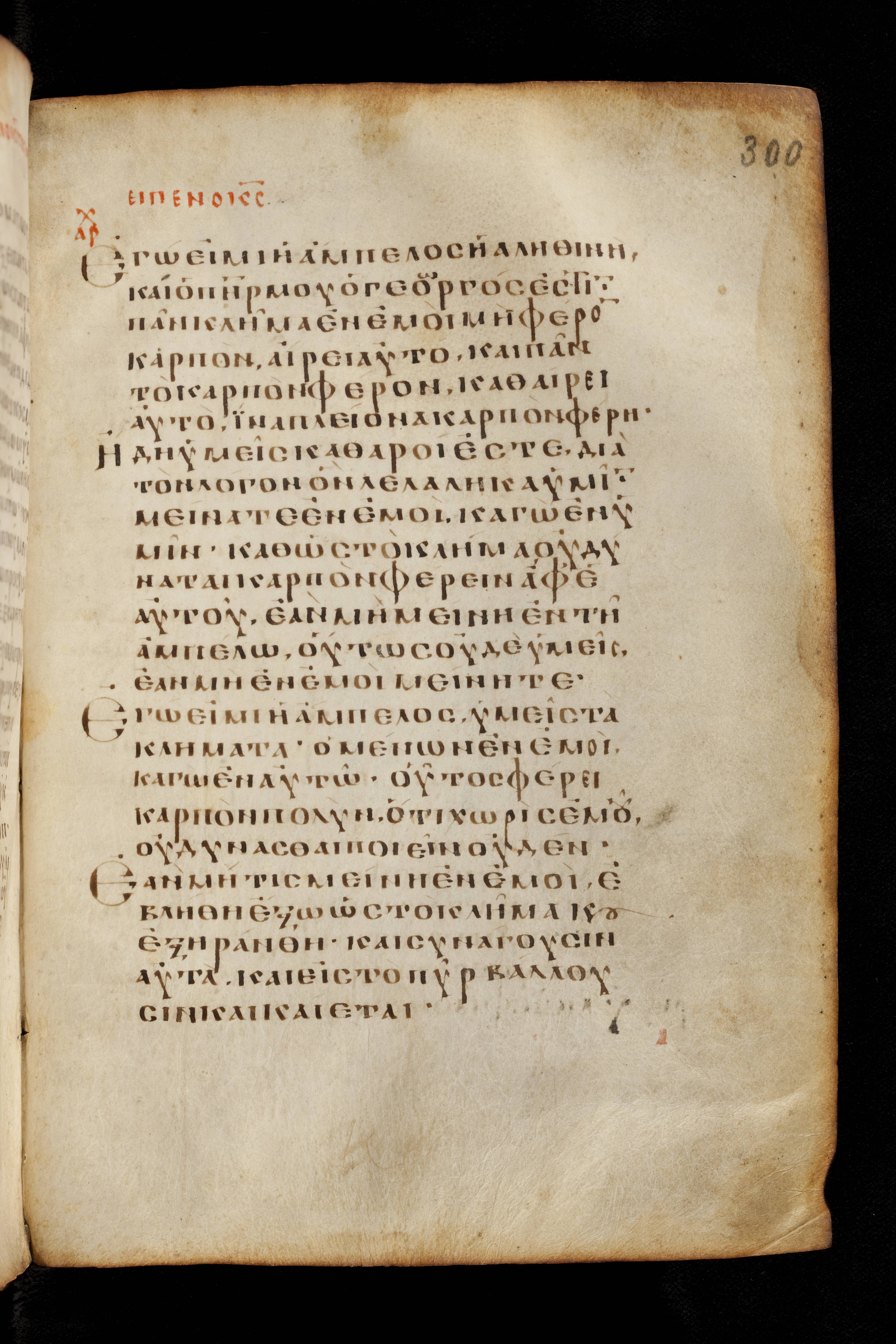 Codex Basilensis showing John 15:1 from 8th Century found in Constantinople (possibly), currently housed at Basel University Library, Basel, Switzerland