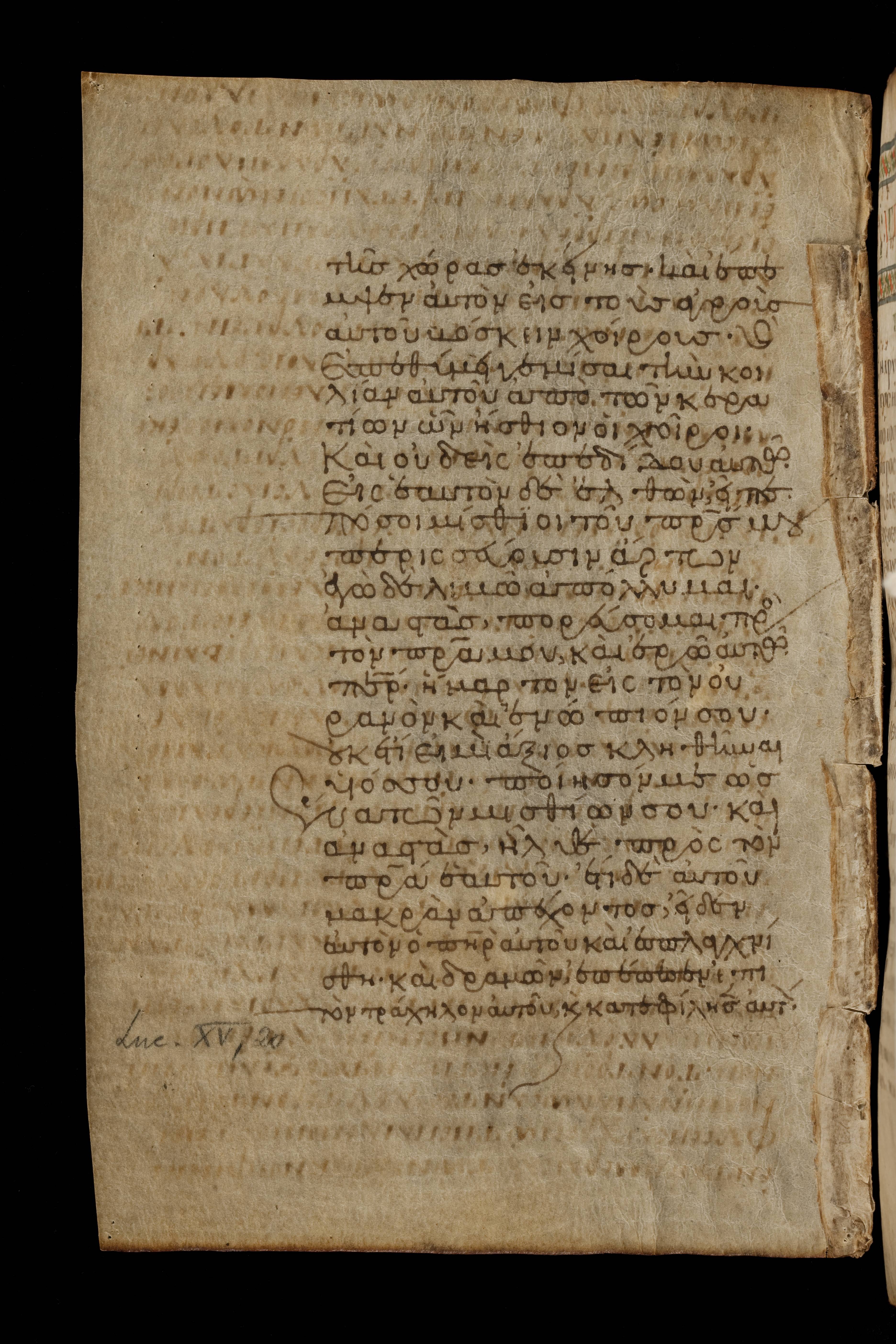 Codex Basilensis showing Luke 15:16 from 8th Century found in Constantinople (possibly), currently housed at Basel University Library, Basel, Switzerland
