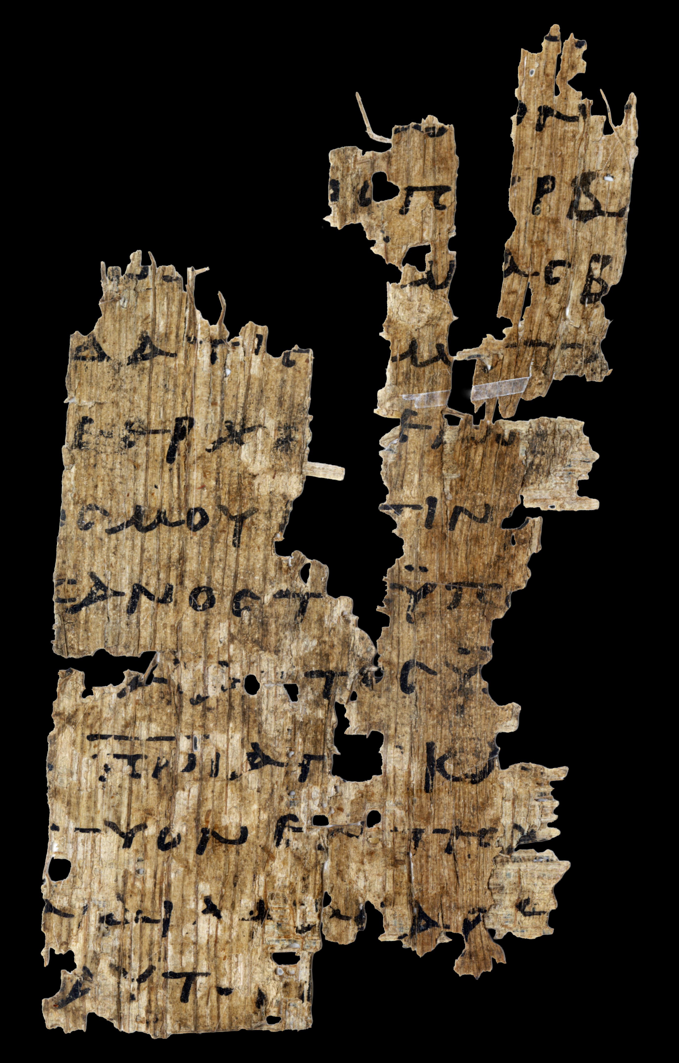 Papyrus 101 showing Matthew 4:3 from 3rd Century found in Oxyrhynchus, Egypt, currently housed at Bodleian Art, Archaeology and Ancient World Library, Oxford
