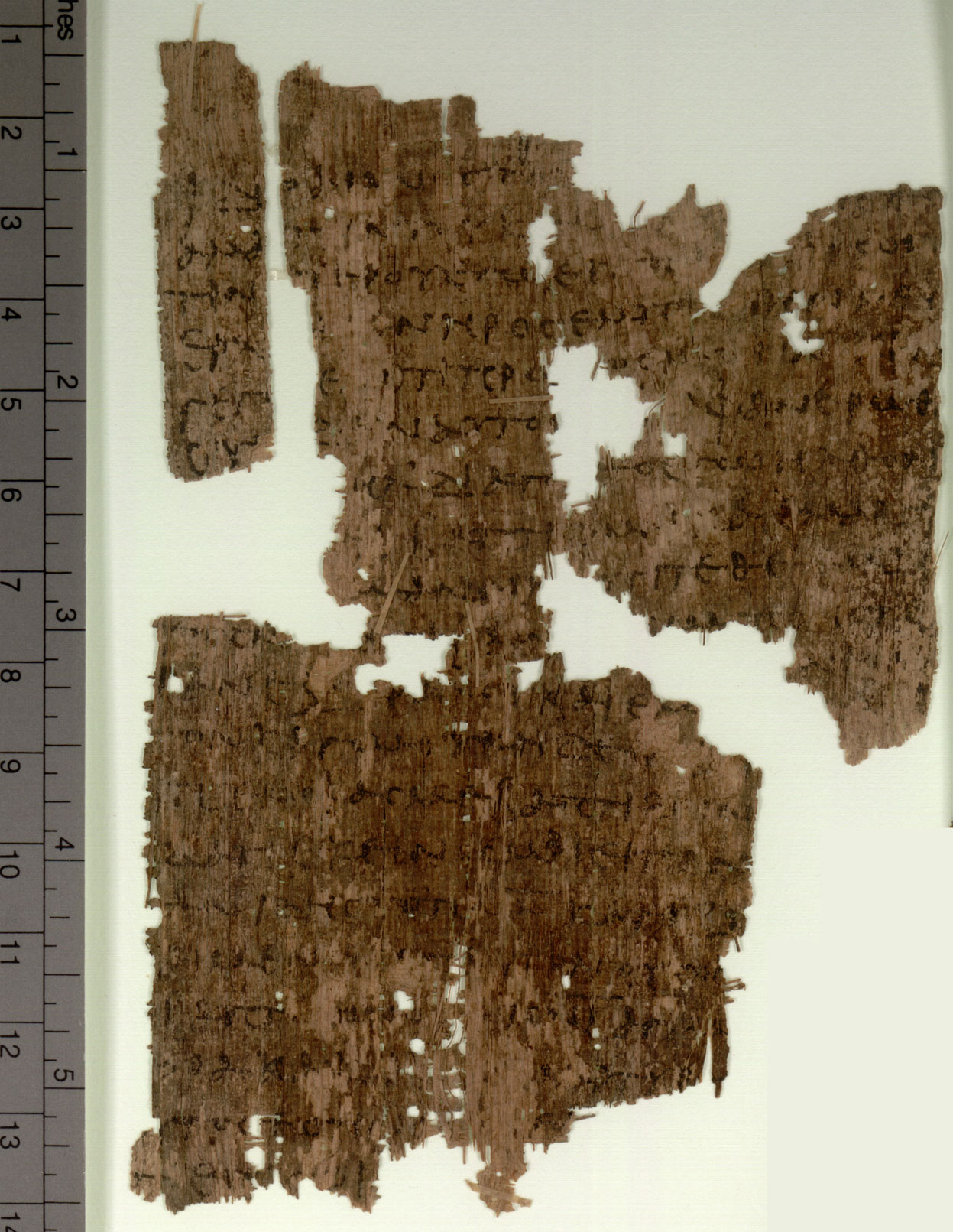 Papyrus 106 showing John 1:29 from Early 3rd Century found in Oxyrhynchus, Egypt, currently housed at Sackler Library, Oxford University