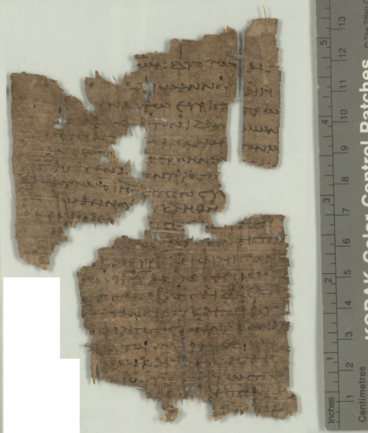 Papyrus 106 showing John 1:46 from Early 3rd Century found in Oxyrhynchus, Egypt, currently housed at Sackler Library, Oxford University