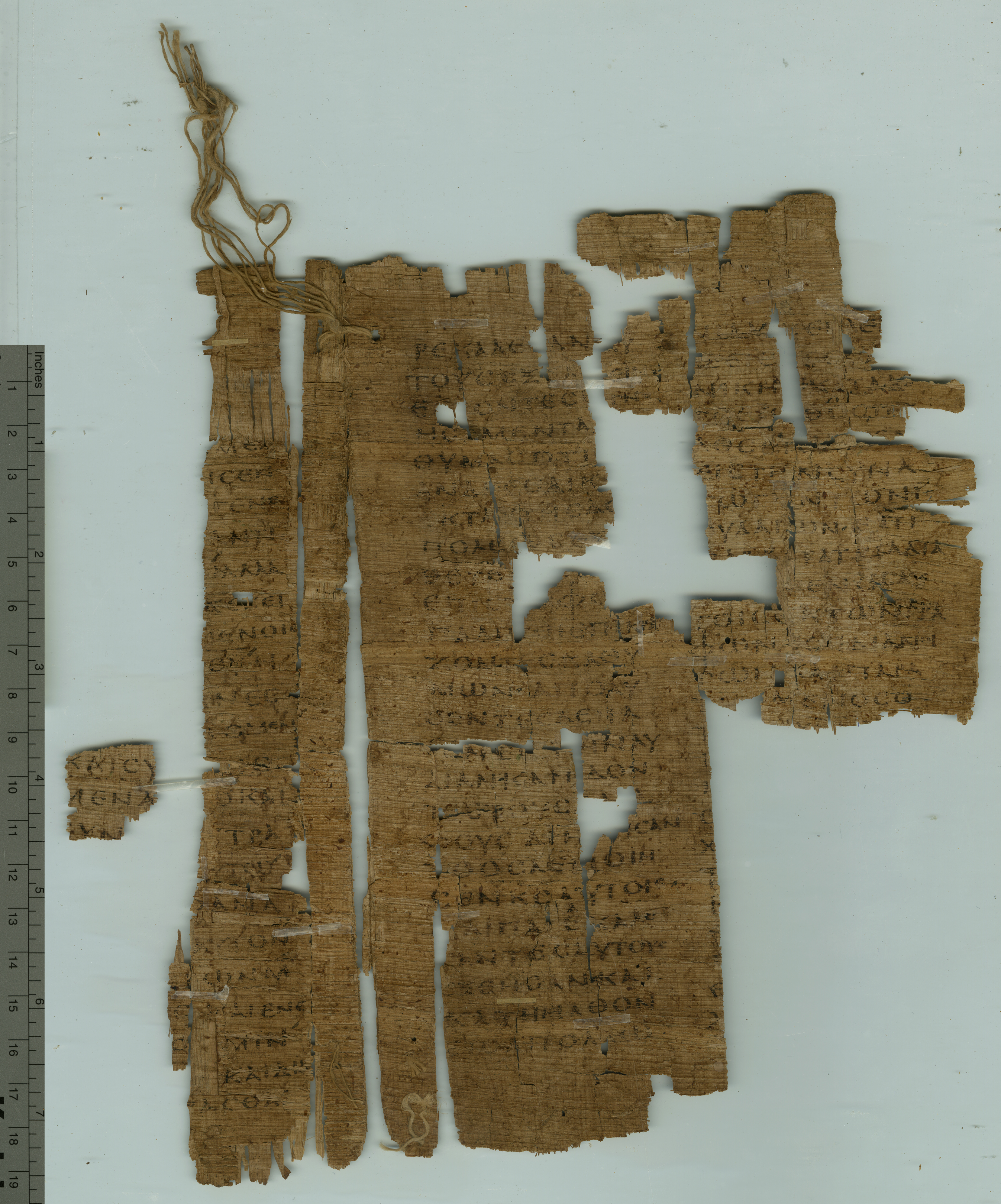 Papyrus 127 showing Acts 10:41 from 5th Century found in Oxyrhynchus, Egypt, currently housed at Sackler Library, Oxford