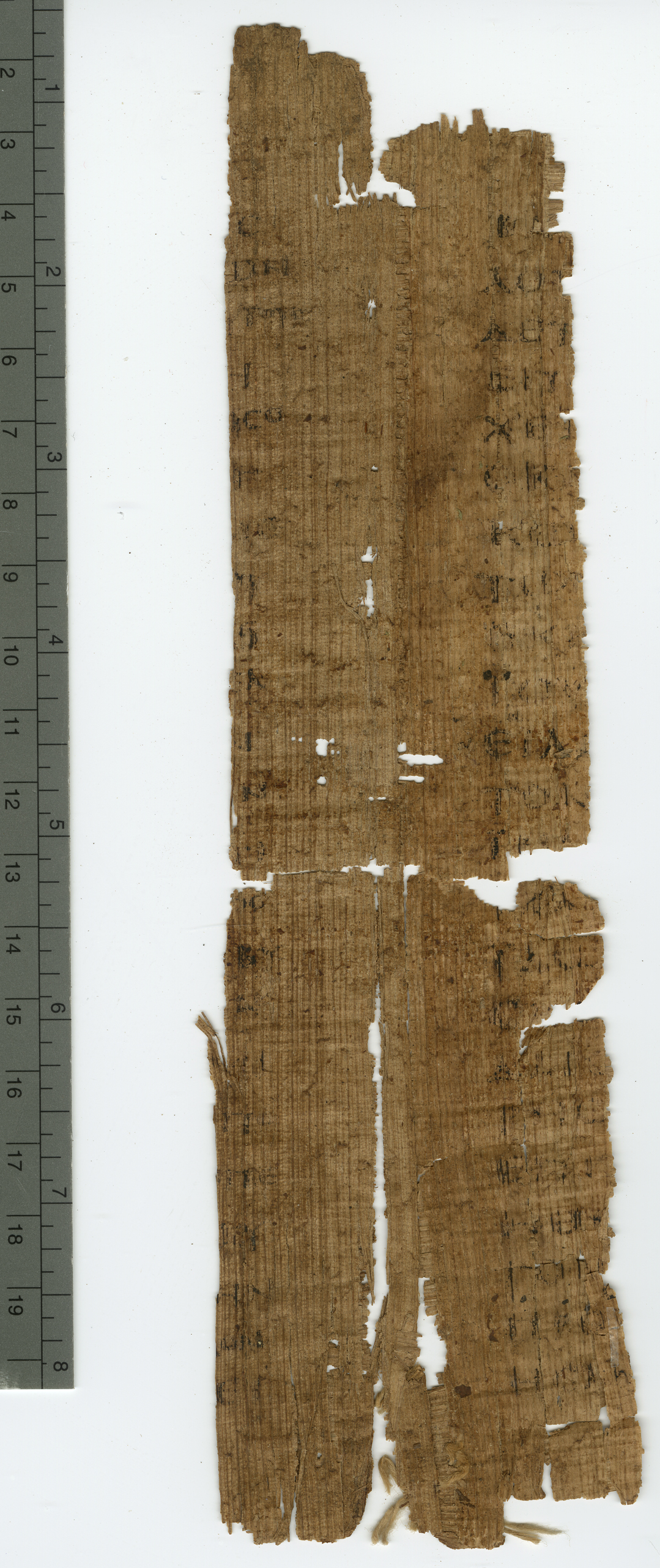 Papyrus 127 showing Acts 11:4 from 5th Century found in Oxyrhynchus, Egypt, currently housed at Sackler Library, Oxford