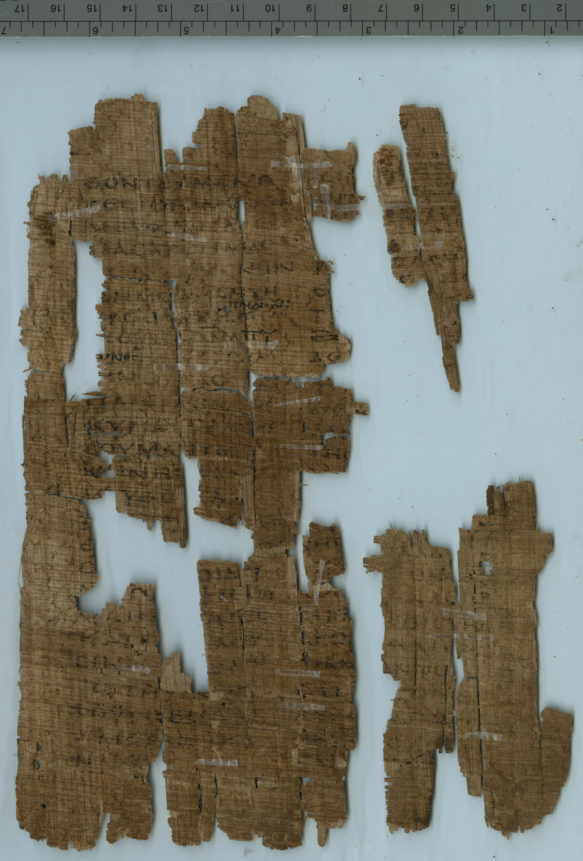 Papyrus 127 showing Acts 15:35 from 5th Century found in Oxyrhynchus, Egypt, currently housed at Sackler Library, Oxford