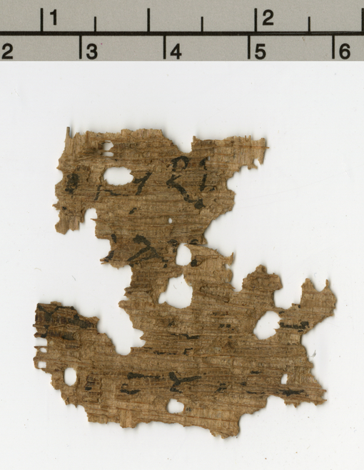 Papyrus 132 showing Ephesians 4:16 from 3rd / 4th Century found in Oxyrhynchus, Egypt, currently housed at Sackler Library, University of Oxford, England