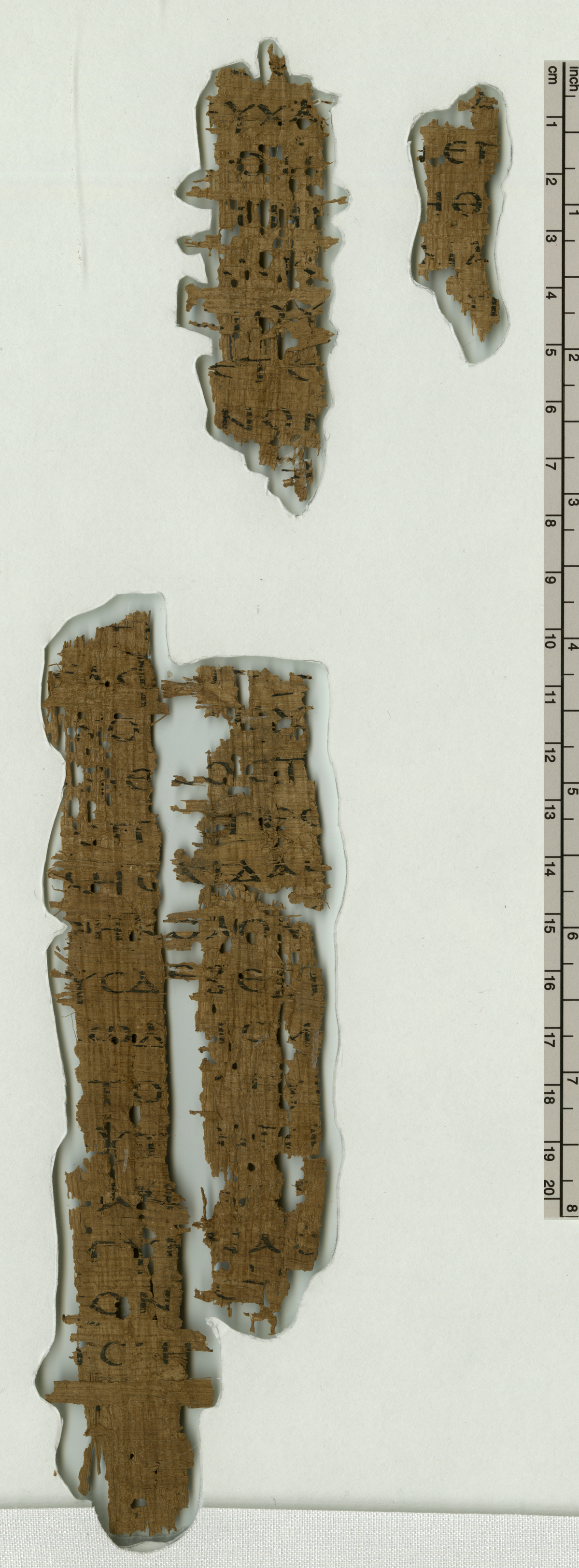 Papyrus 133 (Scan 2) showing 1 Timothy 4:3 from Mid 3rd Century found in Oxyrhynchus, Egypt, currently housed at Bodleian Art, Archaeology and Ancient World Library, University of Oxford, Oxford, England