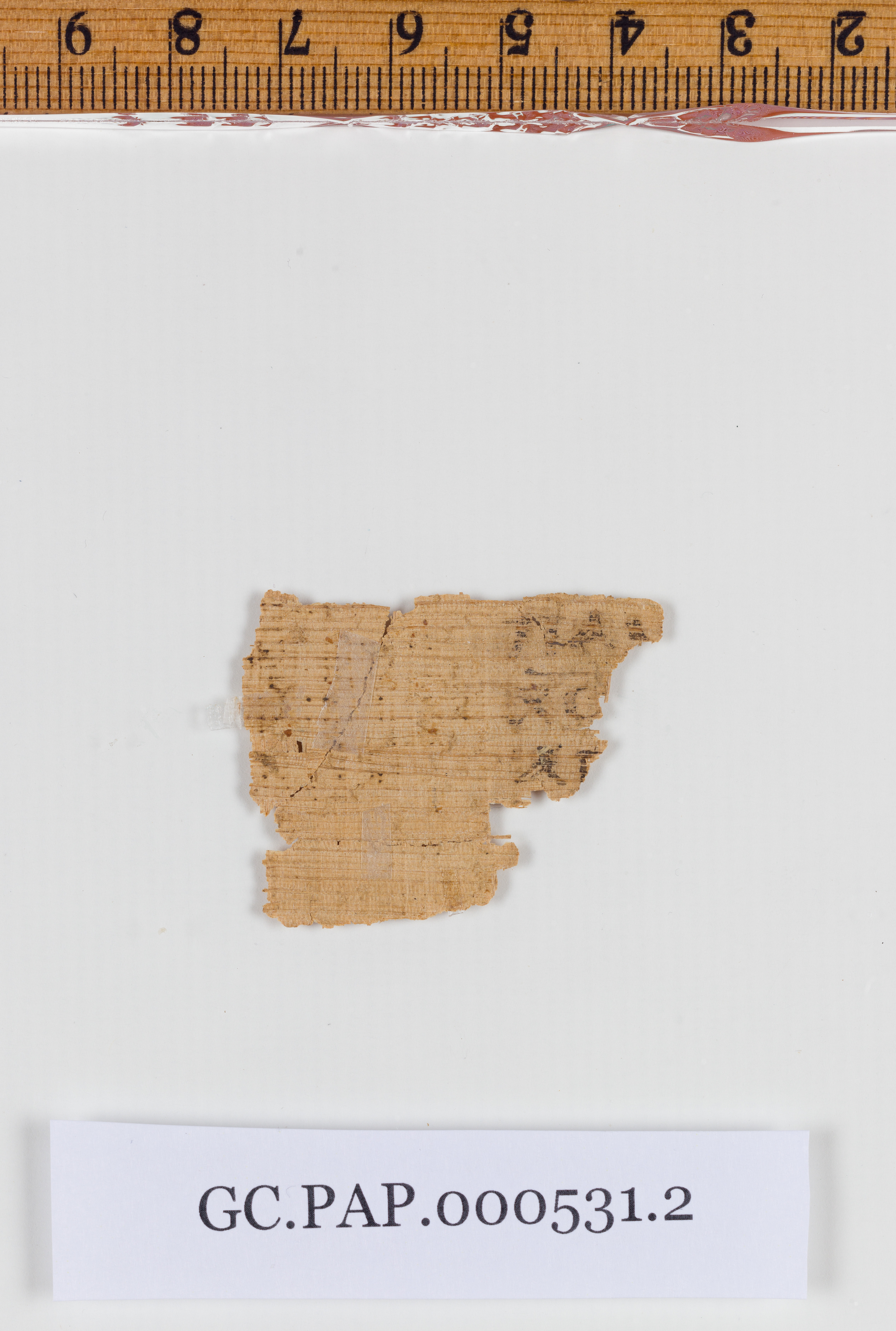 Papyrus 135 showing Galatians 3:29 from 4th-6th Century, currently housed at Museum of the Bible, Washington, DC