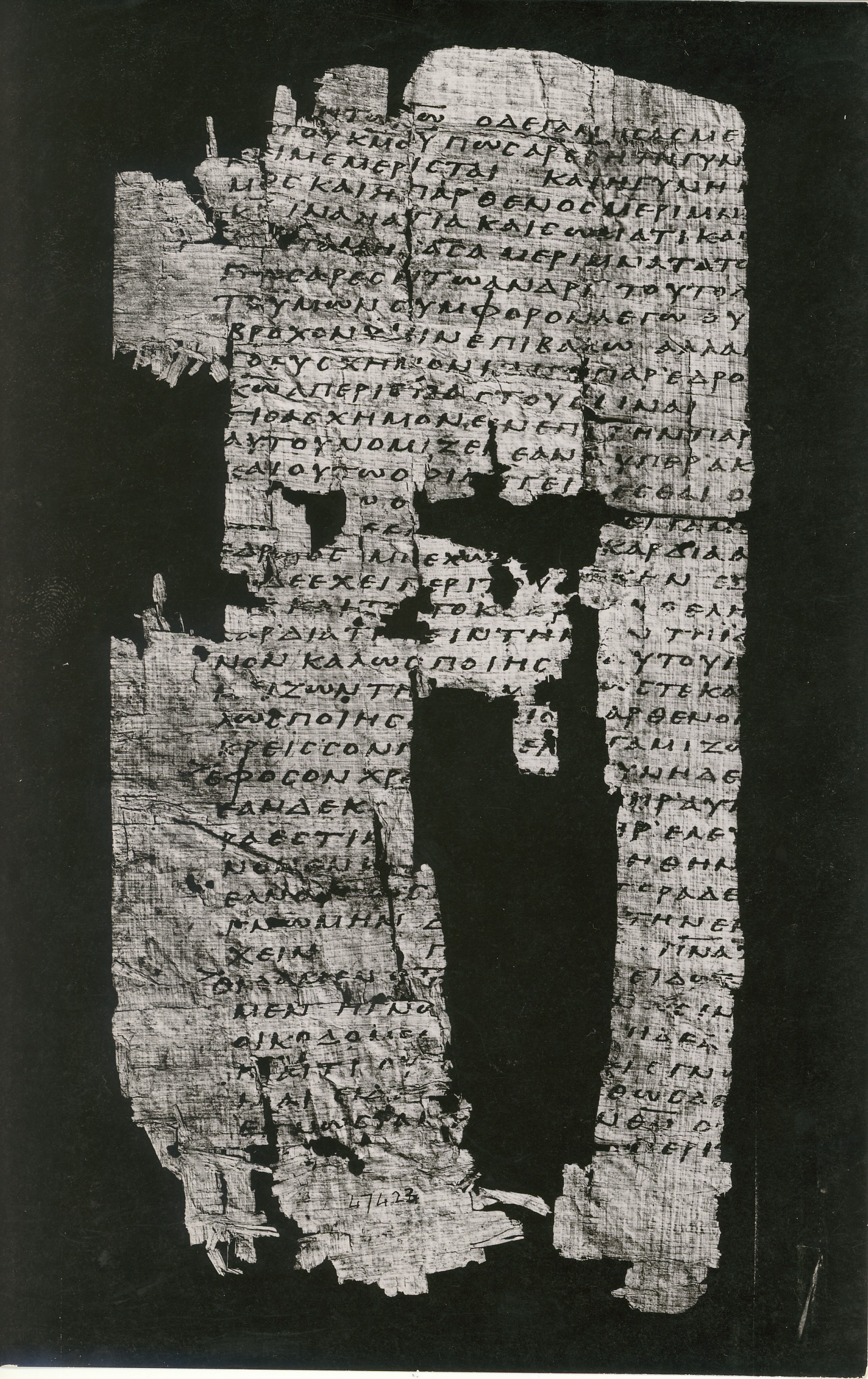 Papyrus 15 showing 1 Corinthians 8:2 from 3rd / 4th Century found in Oxyrhynchus, Egypt, currently housed at Bibliotheca Alexandrina, Alexandria