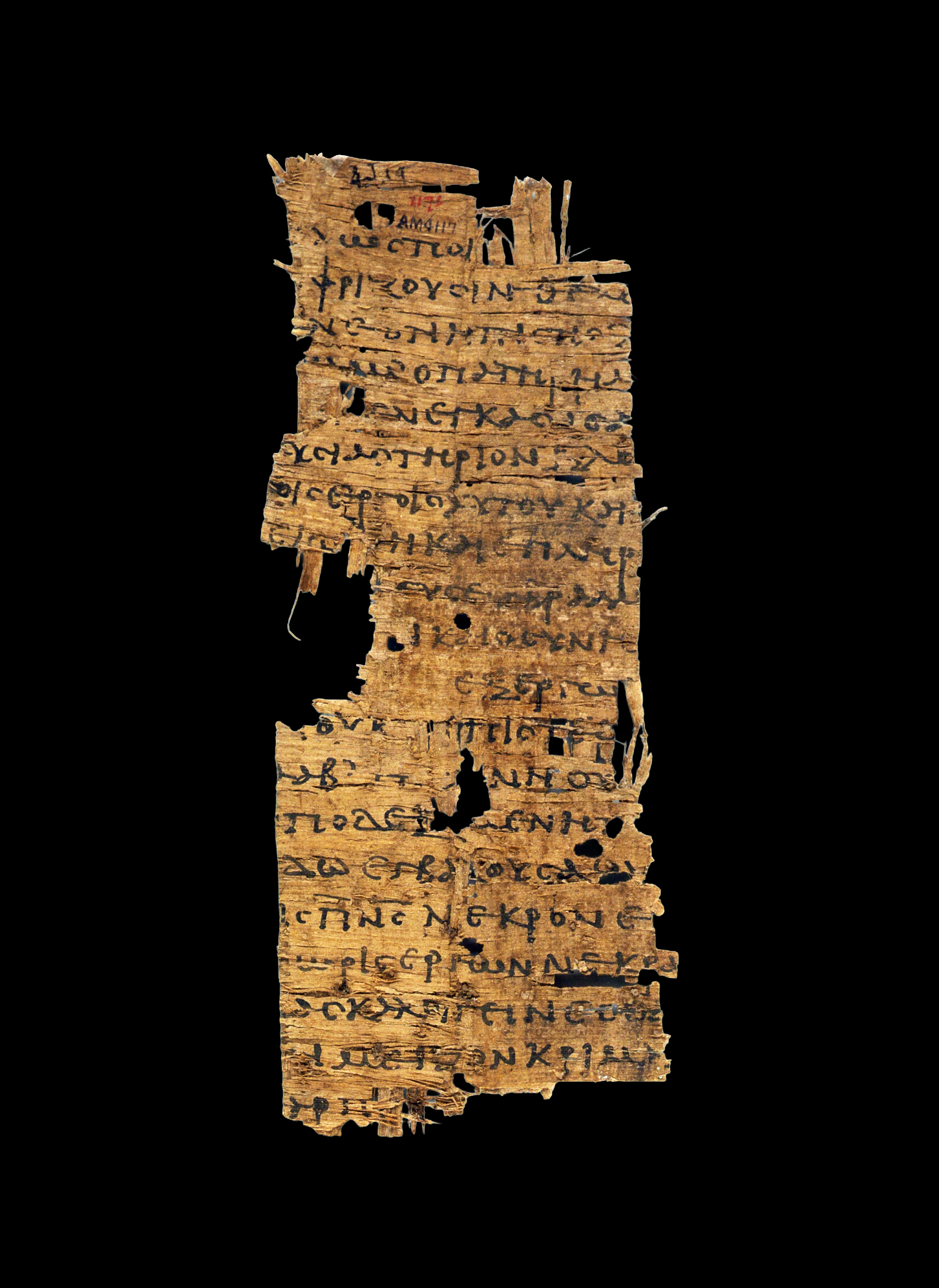Papyrus 20 showing James 2:21 from Early 3rd Century found in Oxyrhynchus, Egypt, currently housed at Princeton University Library, Princeton
