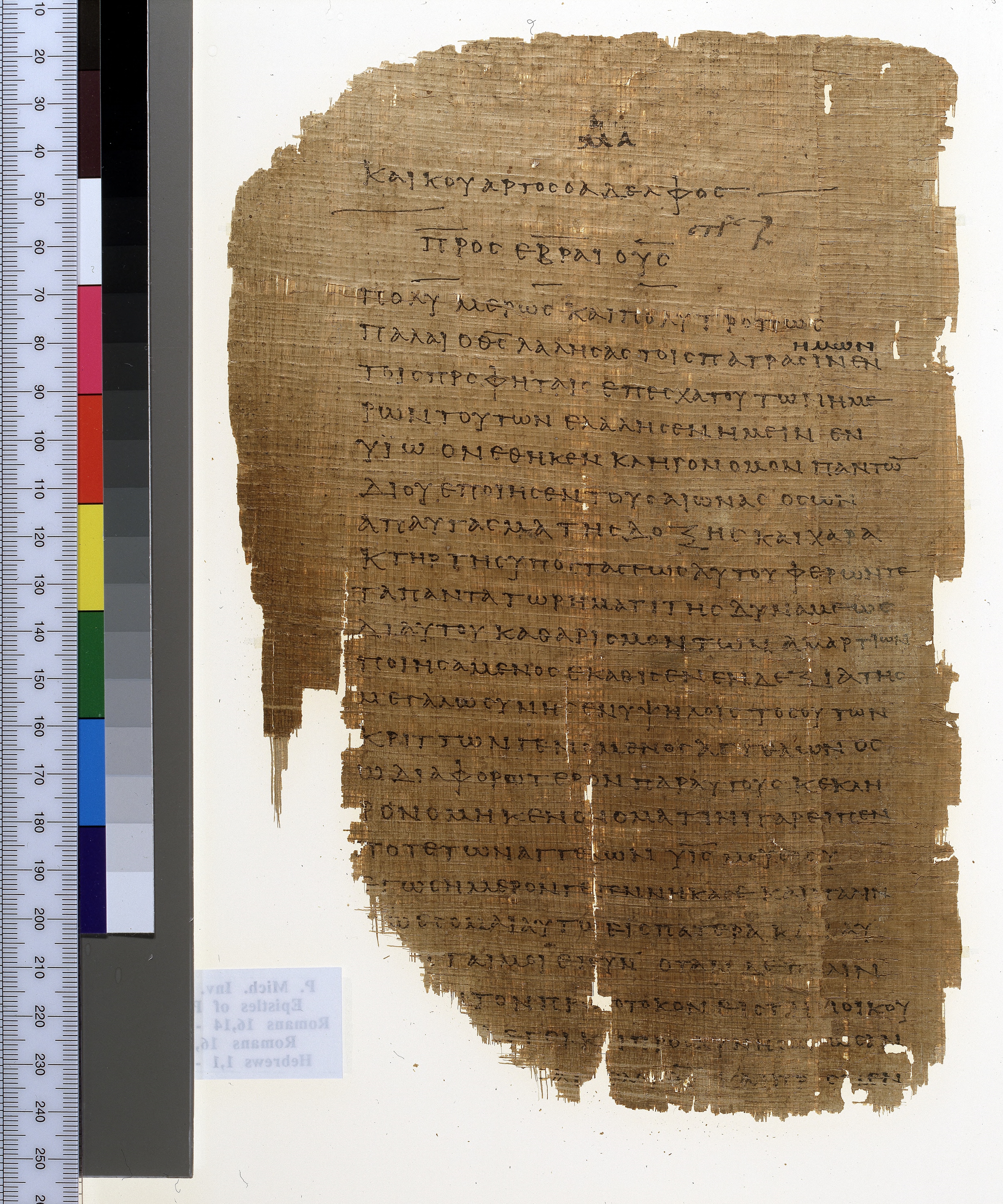 Chester Beatty Papyrus II showing Hebrews 1:2 from Late 2nd to Early 3rd Century found in Fayyum, Egypt (disputed), currently housed at Chester Beatty Library, Dublin and University of Michigan, Ann Arbor
