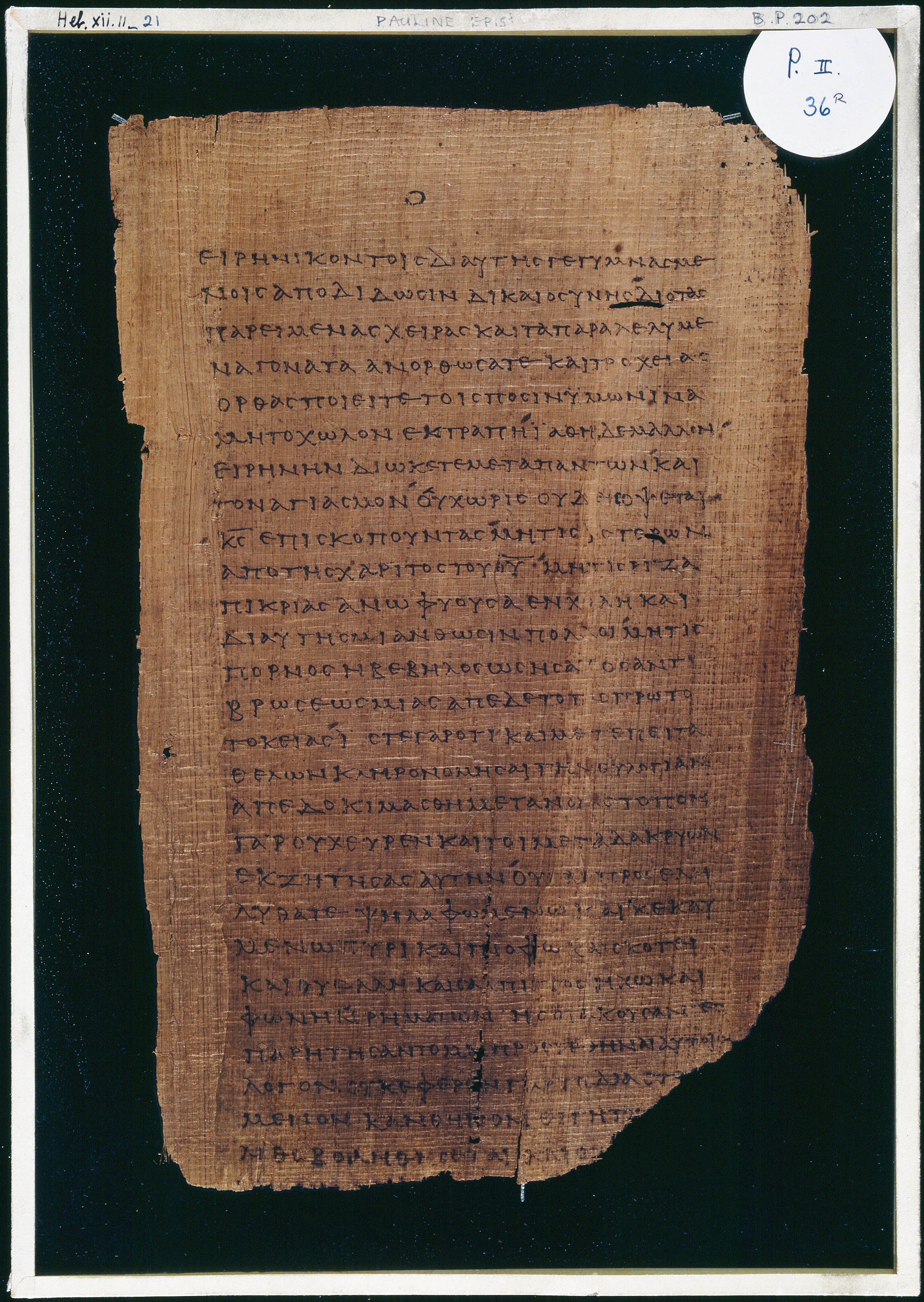 Chester Beatty Papyrus II showing Hebrews 12:21 from Late 2nd to Early 3rd Century found in Fayyum, Egypt (disputed), currently housed at Chester Beatty Library, Dublin and University of Michigan, Ann Arbor