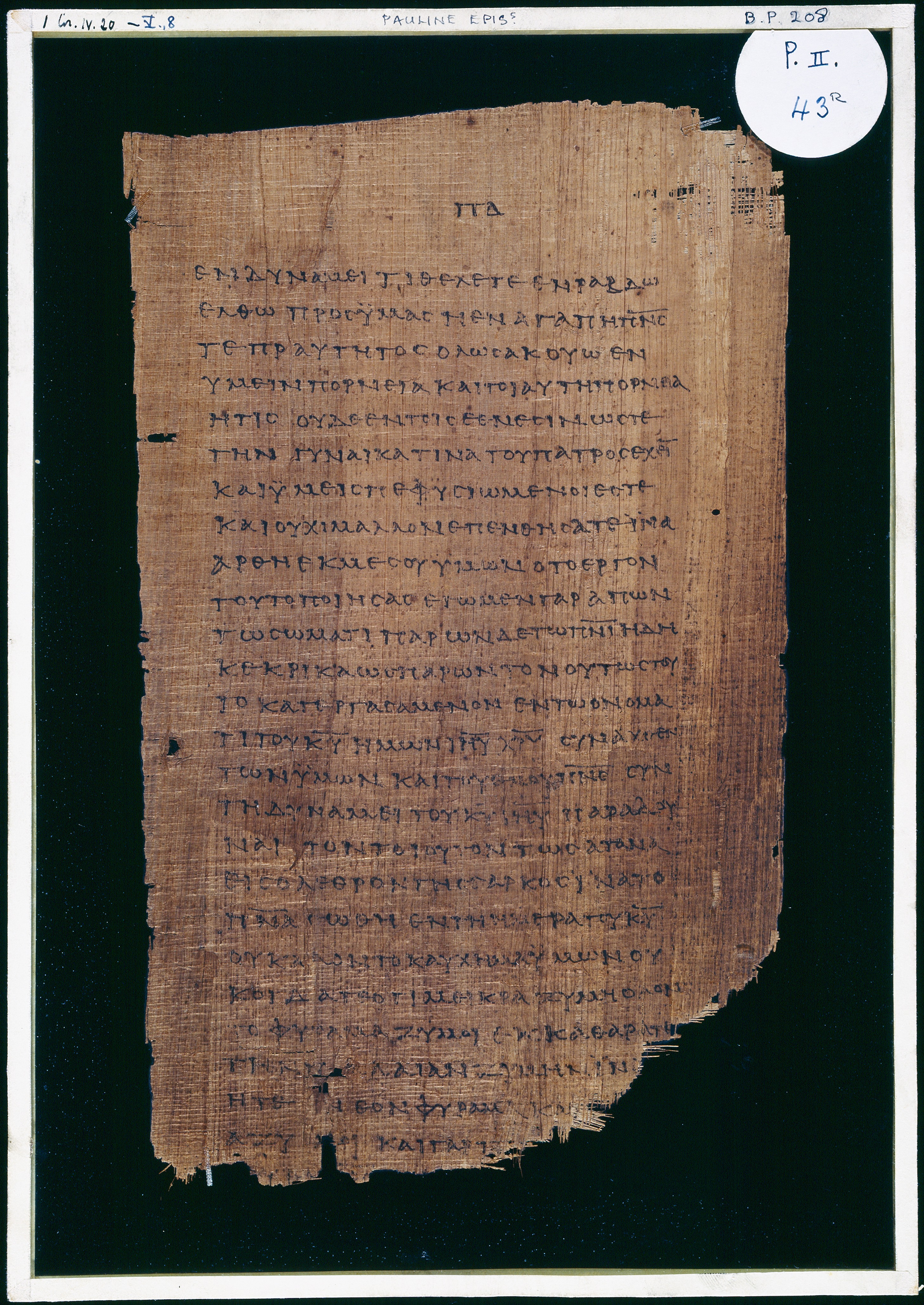Chester Beatty Papyrus II showing 1 Corinthians 5:2 from Late 2nd to Early 3rd Century found in Fayyum, Egypt (disputed), currently housed at Chester Beatty Library, Dublin and University of Michigan, Ann Arbor
