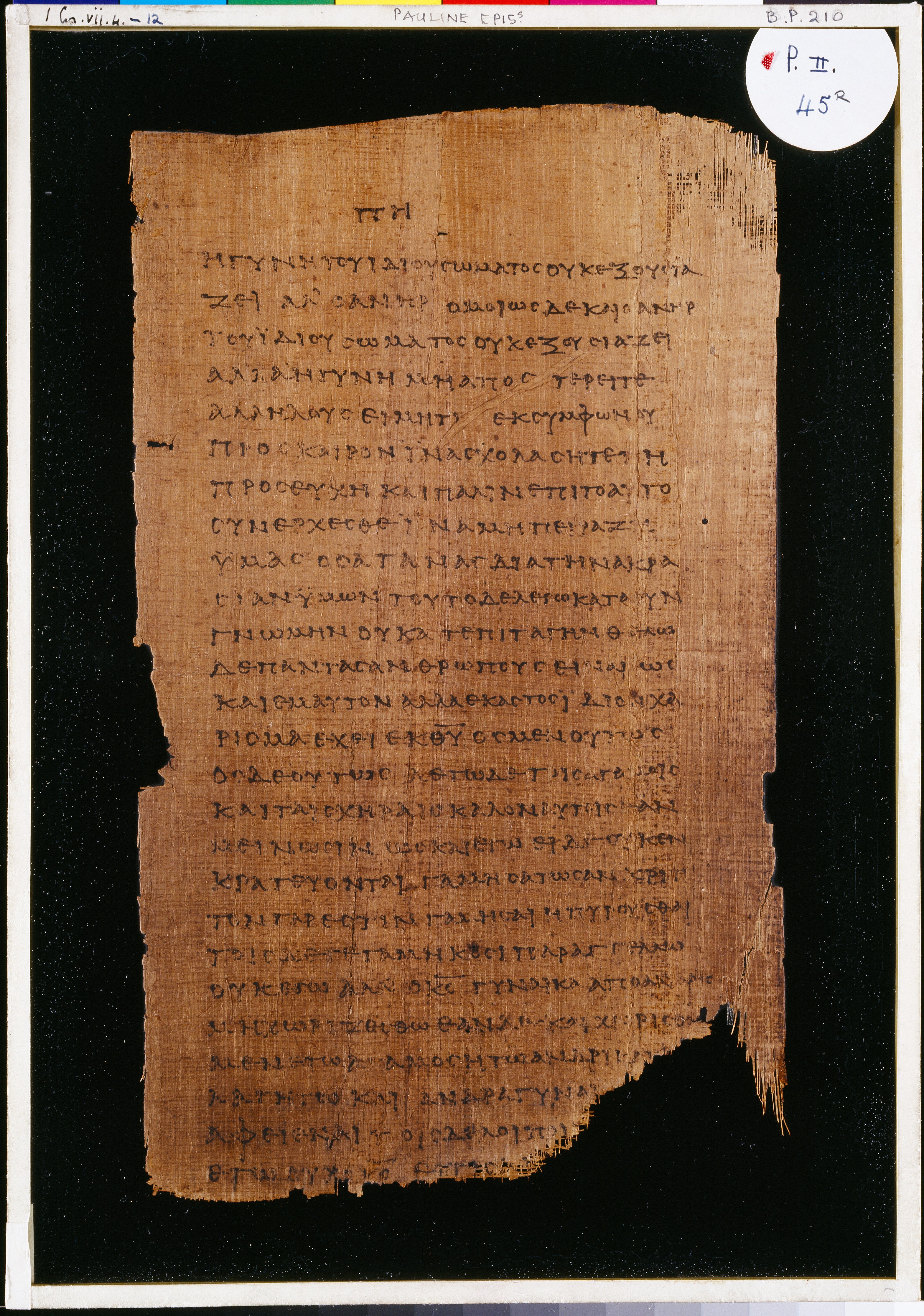 Chester Beatty Papyrus II showing 1 Corinthians 7:4 from Late 2nd to Early 3rd Century found in Fayyum, Egypt (disputed), currently housed at Chester Beatty Library, Dublin and University of Michigan, Ann Arbor