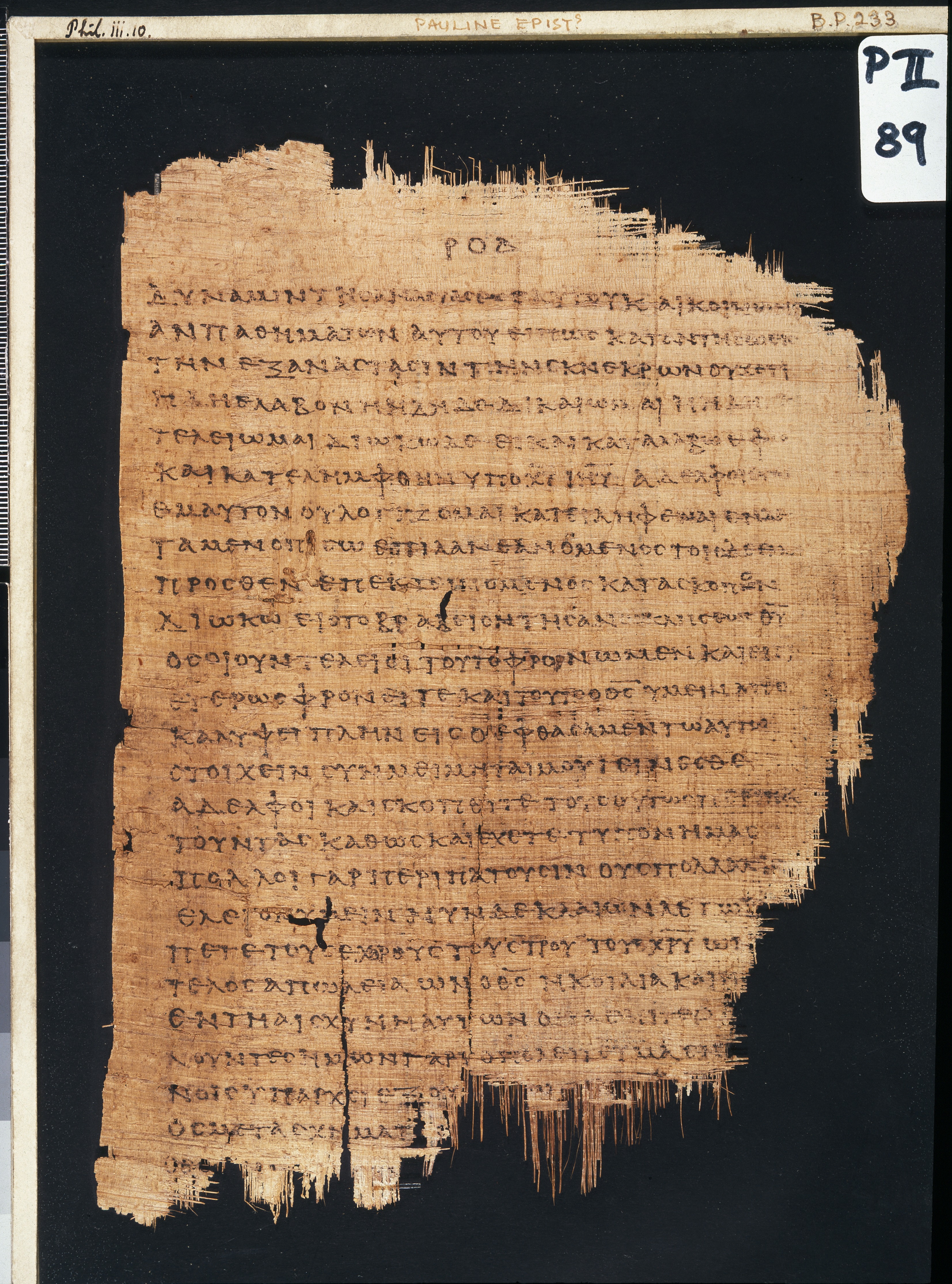 Chester Beatty Papyrus II showing Philippians 3:21 from Late 2nd to Early 3rd Century found in Fayyum, Egypt (disputed), currently housed at Chester Beatty Library, Dublin and University of Michigan, Ann Arbor