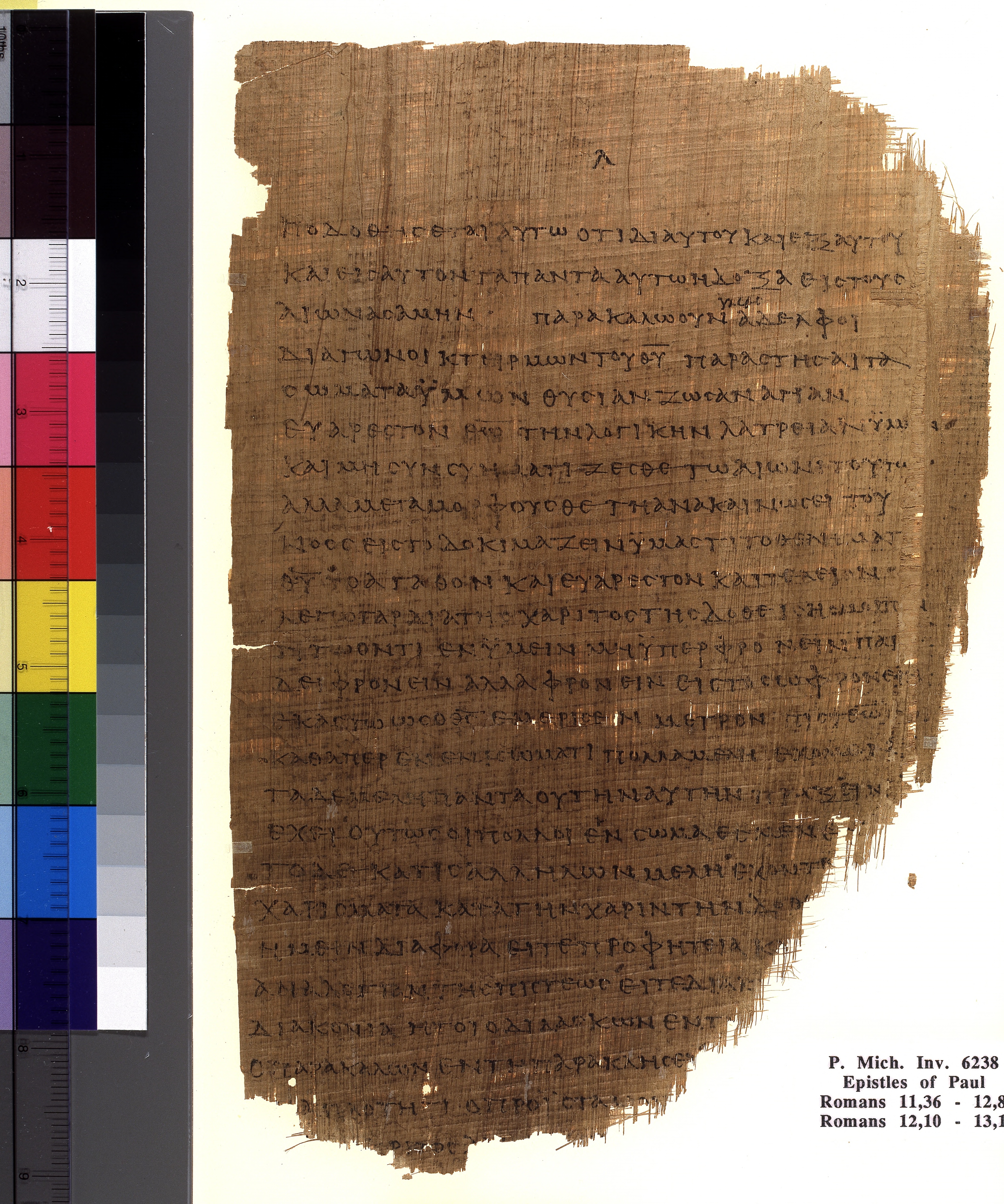 Chester Beatty Papyrus II showing Romans 12:2 from Late 2nd to Early 3rd Century found in Fayyum, Egypt (disputed), currently housed at Chester Beatty Library, Dublin and University of Michigan, Ann Arbor