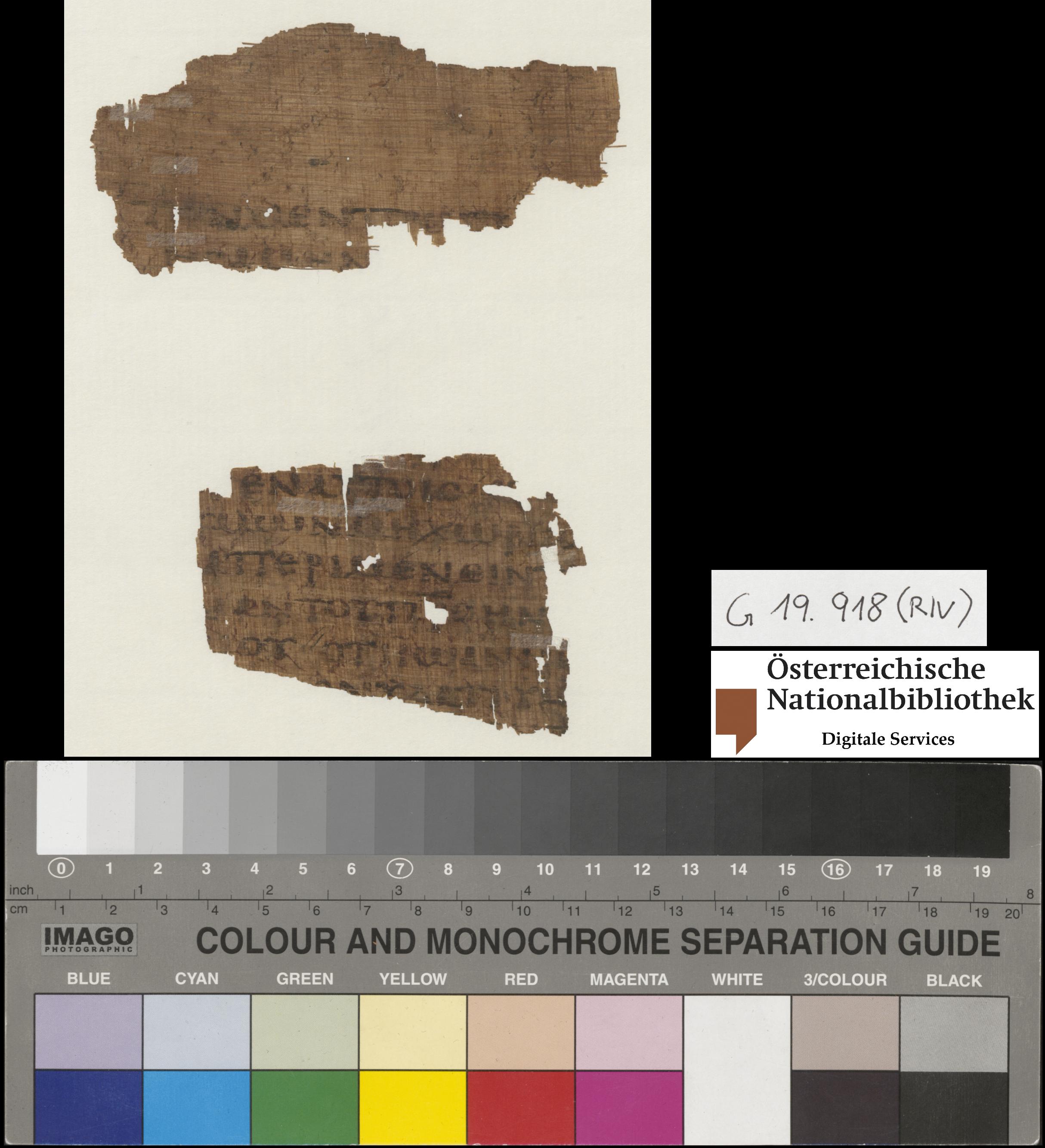 Papyrus 56 showing Mark 6:13 from 5th / 6th Century found in Egypt, currently housed at Austrian National Library, Vienna