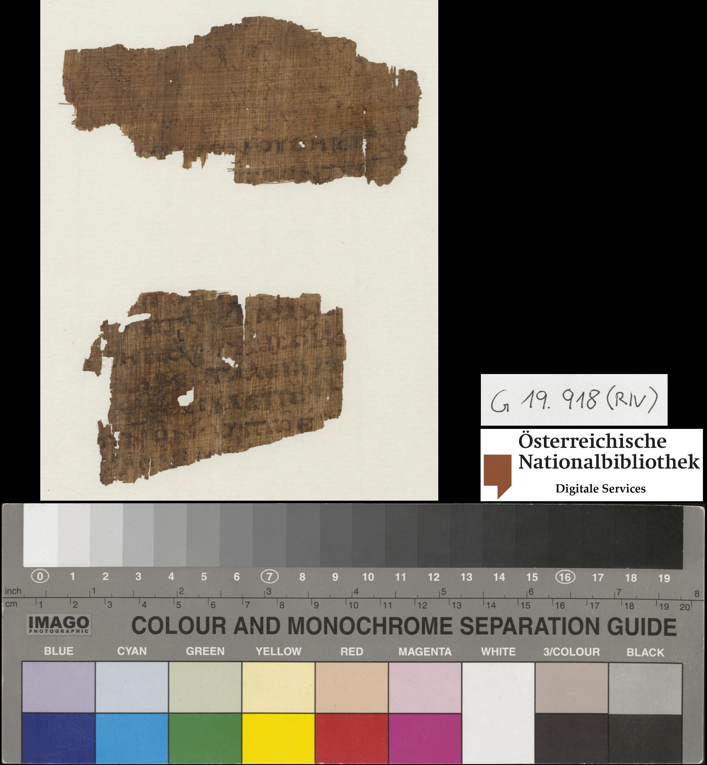Papyrus 56 showing Acts 1:7 from 5th / 6th Century found in Egypt, currently housed at Austrian National Library, Vienna