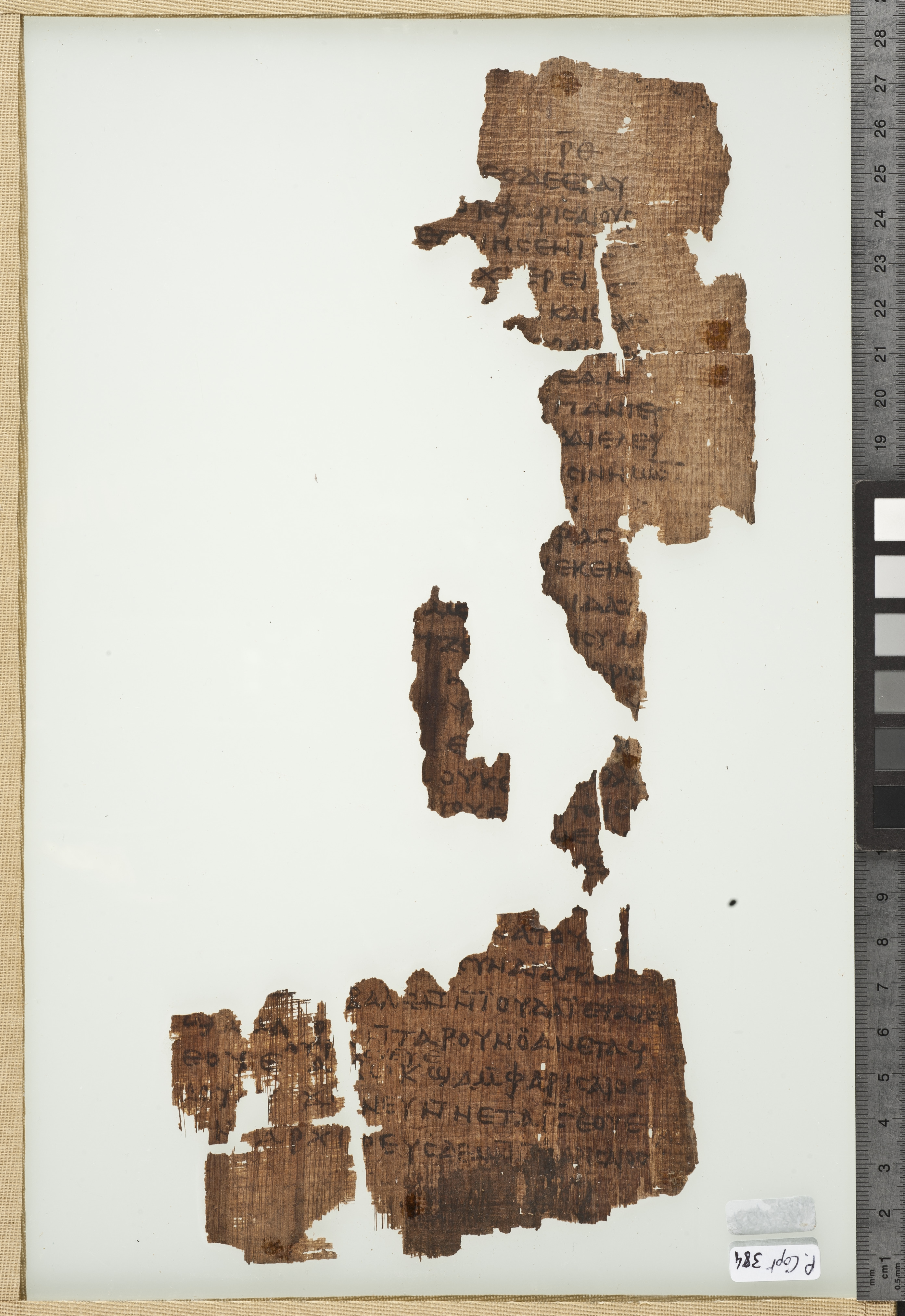 Papyrus 6 showing John 11:49 from 4th Century found in Egypt, currently housed at Bibliothèque nationale et universitaire, Strasbourg