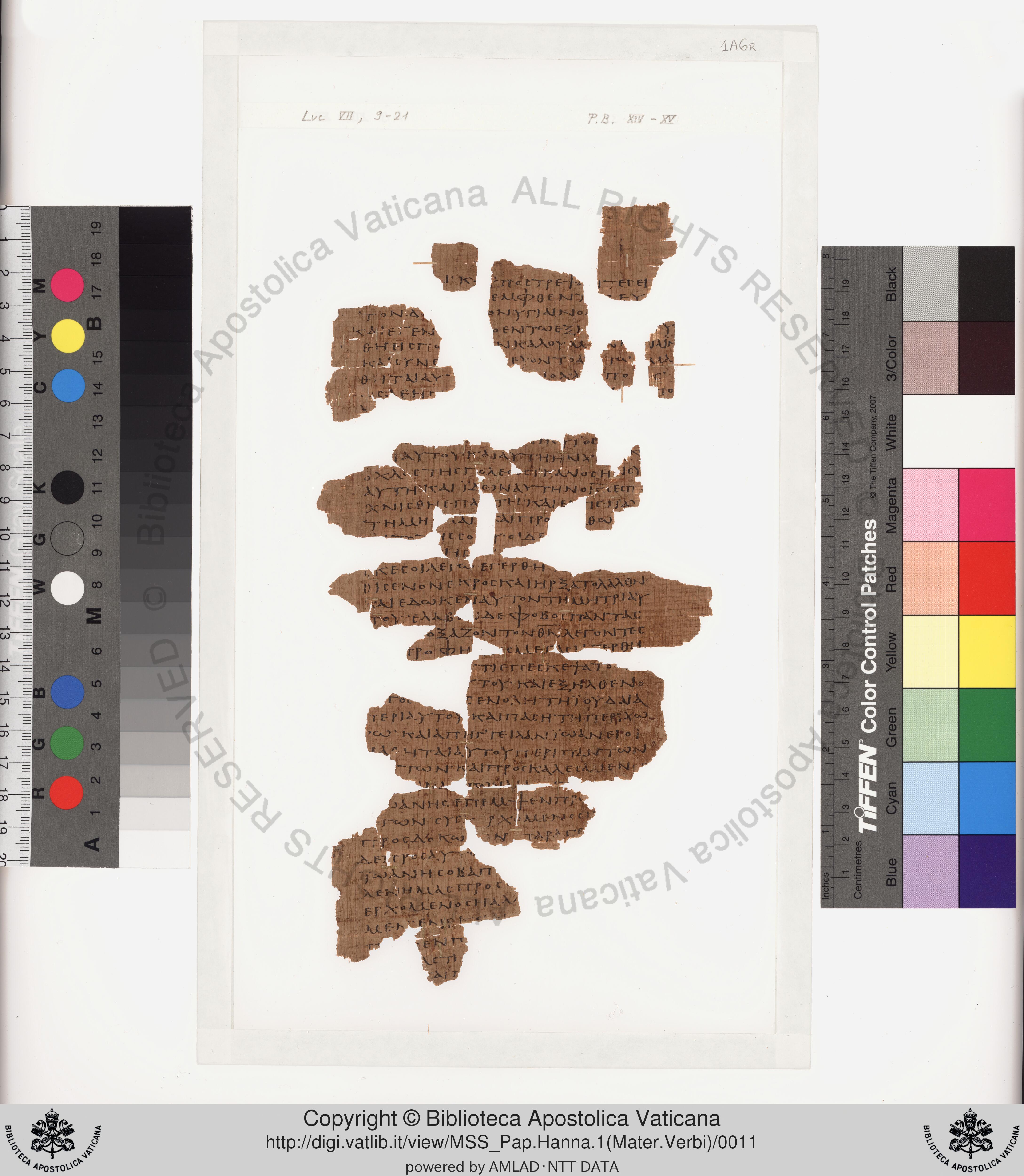 Papyrus 75 showing Luke 8:32 from Late 2nd / Early 3rd Century found in Pabau, Egypt, currently housed at Vatican Library, Rome