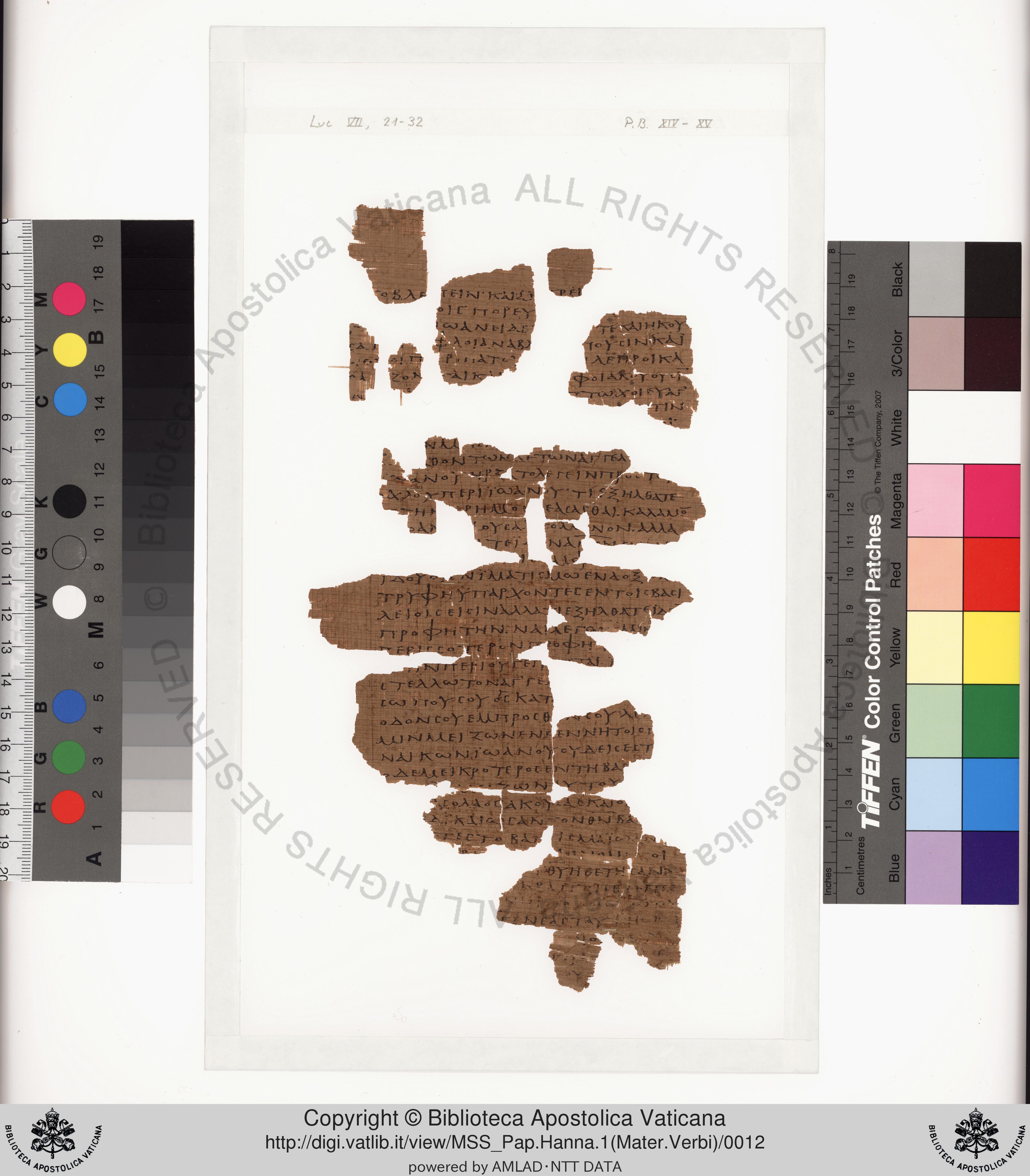 Papyrus 75 showing Luke 8:49 from Late 2nd / Early 3rd Century found in Pabau, Egypt, currently housed at Vatican Library, Rome
