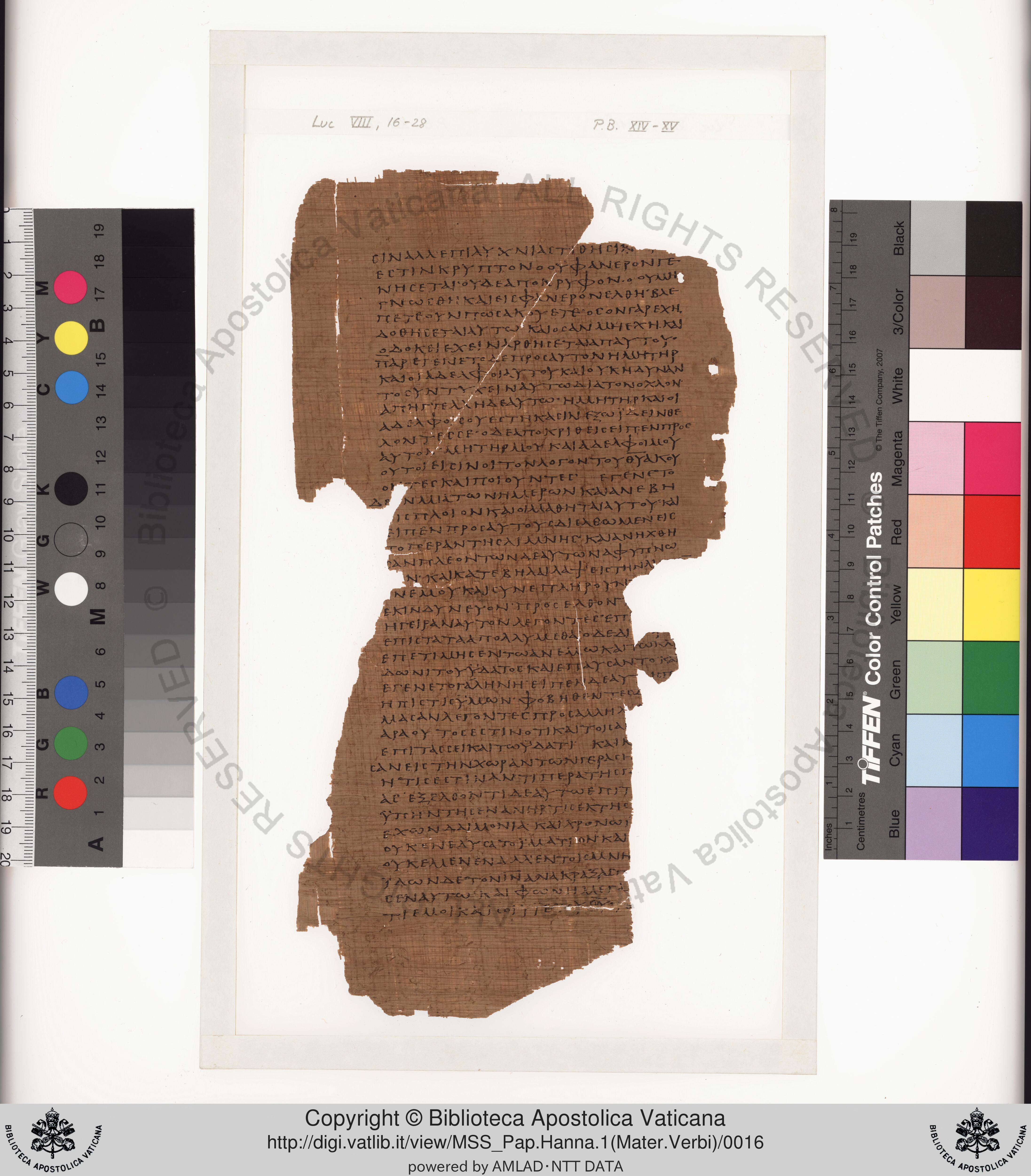 Papyrus 75 (Scan 2) showing Luke 9:33 from Late 2nd / Early 3rd Century found in Pabau, Egypt, currently housed at Vatican Library, Rome