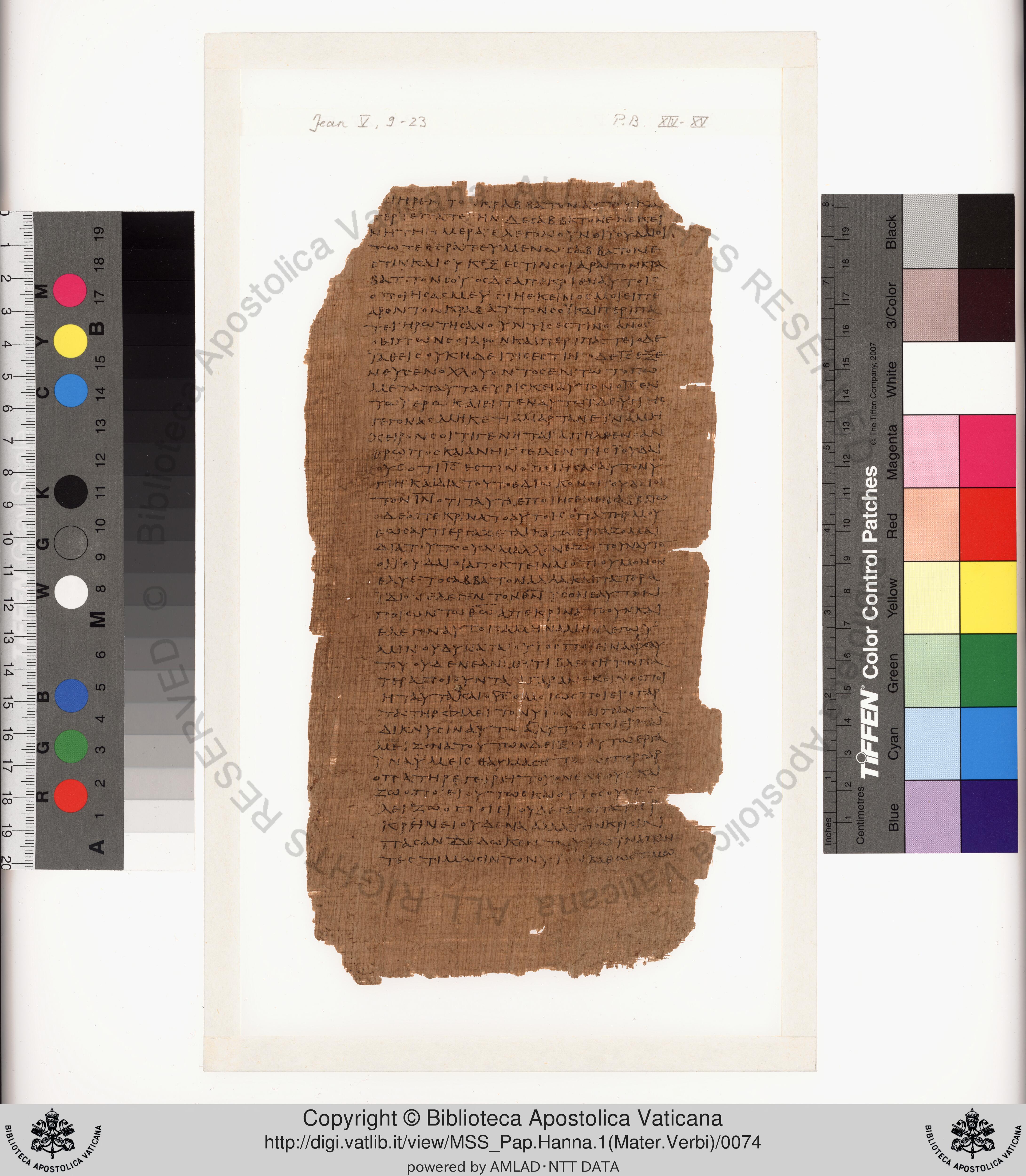 Papyrus 75 showing John 6:55 from Late 2nd / Early 3rd Century found in Pabau, Egypt, currently housed at Vatican Library, Rome