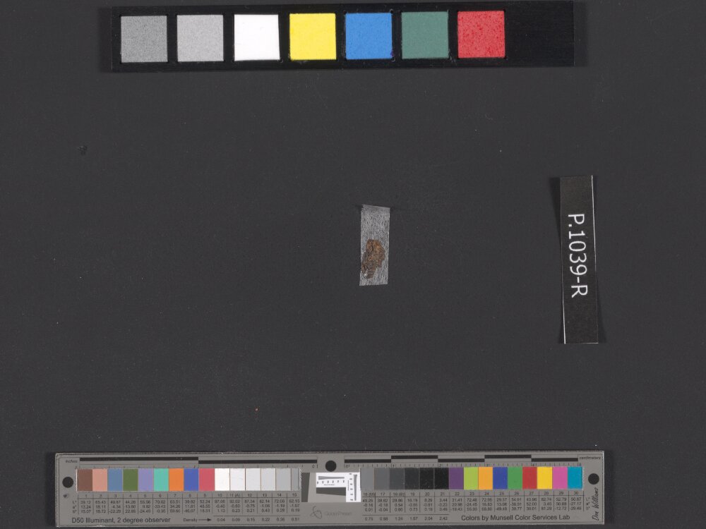 11QpaleoLev (The Paleo-Hebrew Leviticus Scroll) (Scan 2) showing Leviticus 23:22 from Late 1st Century BC - Mid-1st Century AD found in Qumran, Cave 11, currently housed at Israel Museum, Jerusalem