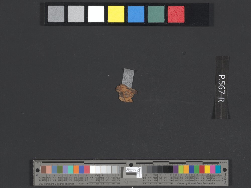 11QpaleoLev (The Paleo-Hebrew Leviticus Scroll) (Scan 5) showing Leviticus 23:22 from Late 1st Century BC - Mid-1st Century AD found in Qumran, Cave 11, currently housed at Israel Museum, Jerusalem