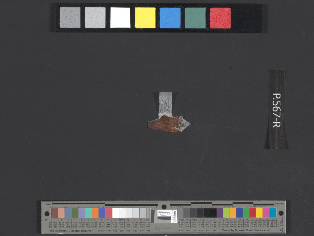 11QpaleoLev (The Paleo-Hebrew Leviticus Scroll) (Scan 7) showing Leviticus 23:22 from Late 1st Century BC - Mid-1st Century AD found in Qumran, Cave 11, currently housed at Israel Museum, Jerusalem