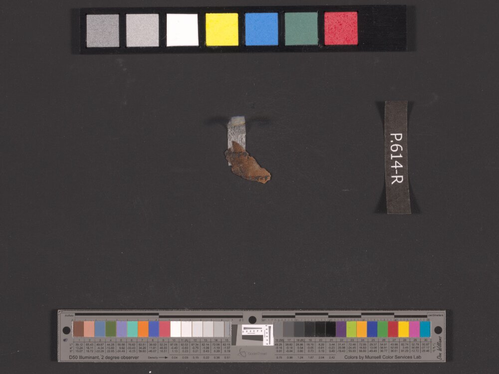 11QpaleoLev (The Paleo-Hebrew Leviticus Scroll) (Scan 9) showing Leviticus 23:22 from Late 1st Century BC - Mid-1st Century AD found in Qumran, Cave 11, currently housed at Israel Museum, Jerusalem