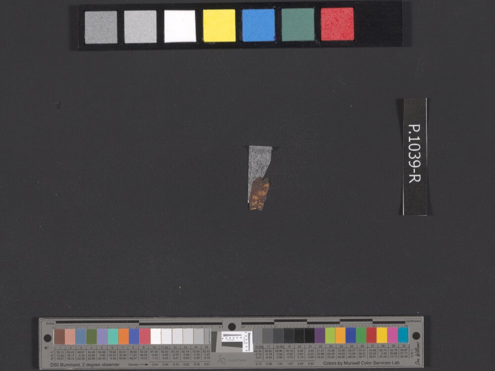11QpaleoLev (The Paleo-Hebrew Leviticus Scroll) (Scan 11) showing Leviticus 23:22 from Late 1st Century BC - Mid-1st Century AD found in Qumran, Cave 11, currently housed at Israel Museum, Jerusalem