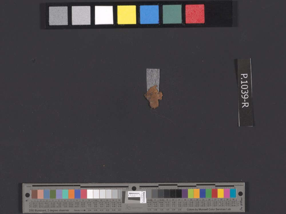 11QpaleoLev (The Paleo-Hebrew Leviticus Scroll) (Scan 12) showing Leviticus 23:22 from Late 1st Century BC - Mid-1st Century AD found in Qumran, Cave 11, currently housed at Israel Museum, Jerusalem