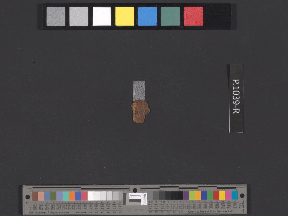 11QpaleoLev (The Paleo-Hebrew Leviticus Scroll) (Scan 16) showing Leviticus 23:22 from Late 1st Century BC - Mid-1st Century AD found in Qumran, Cave 11, currently housed at Israel Museum, Jerusalem