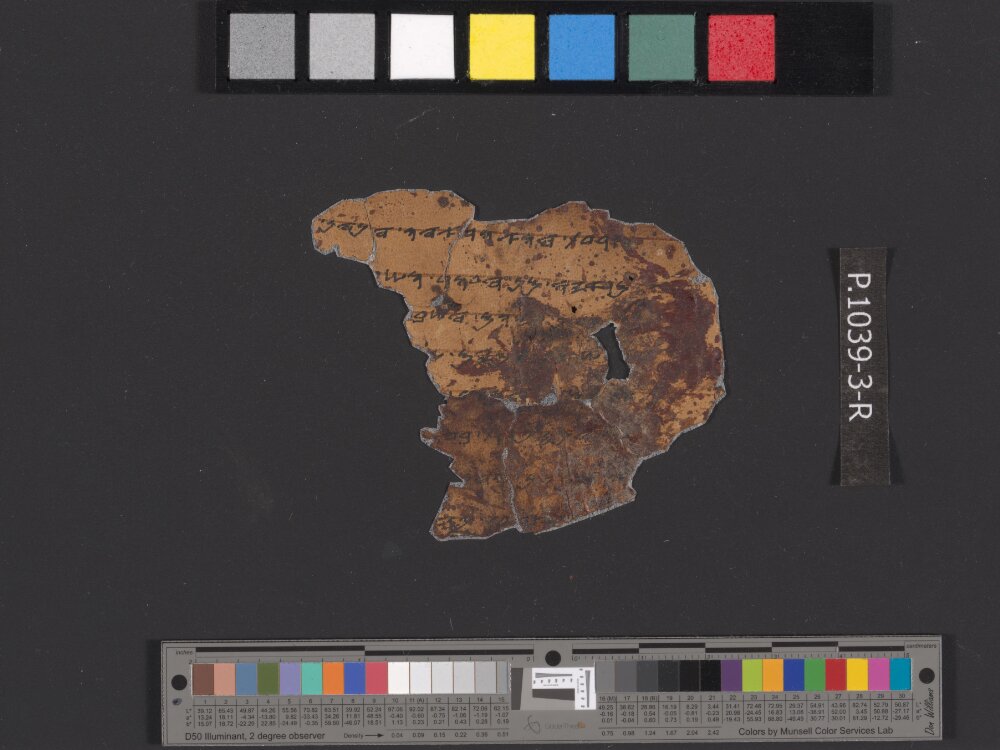 11QpaleoLev (The Paleo-Hebrew Leviticus Scroll) showing Leviticus 13:3 from Late 1st Century BC - Mid-1st Century AD found in Qumran, Cave 11, currently housed at Israel Museum, Jerusalem