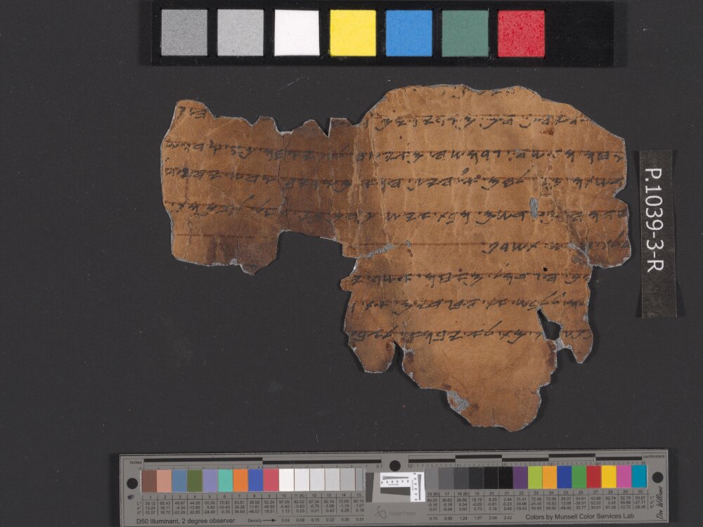 11QpaleoLev (The Paleo-Hebrew Leviticus Scroll) showing Leviticus 21:7 from Late 1st Century BC - Mid-1st Century AD found in Qumran, Cave 11, currently housed at Israel Museum, Jerusalem