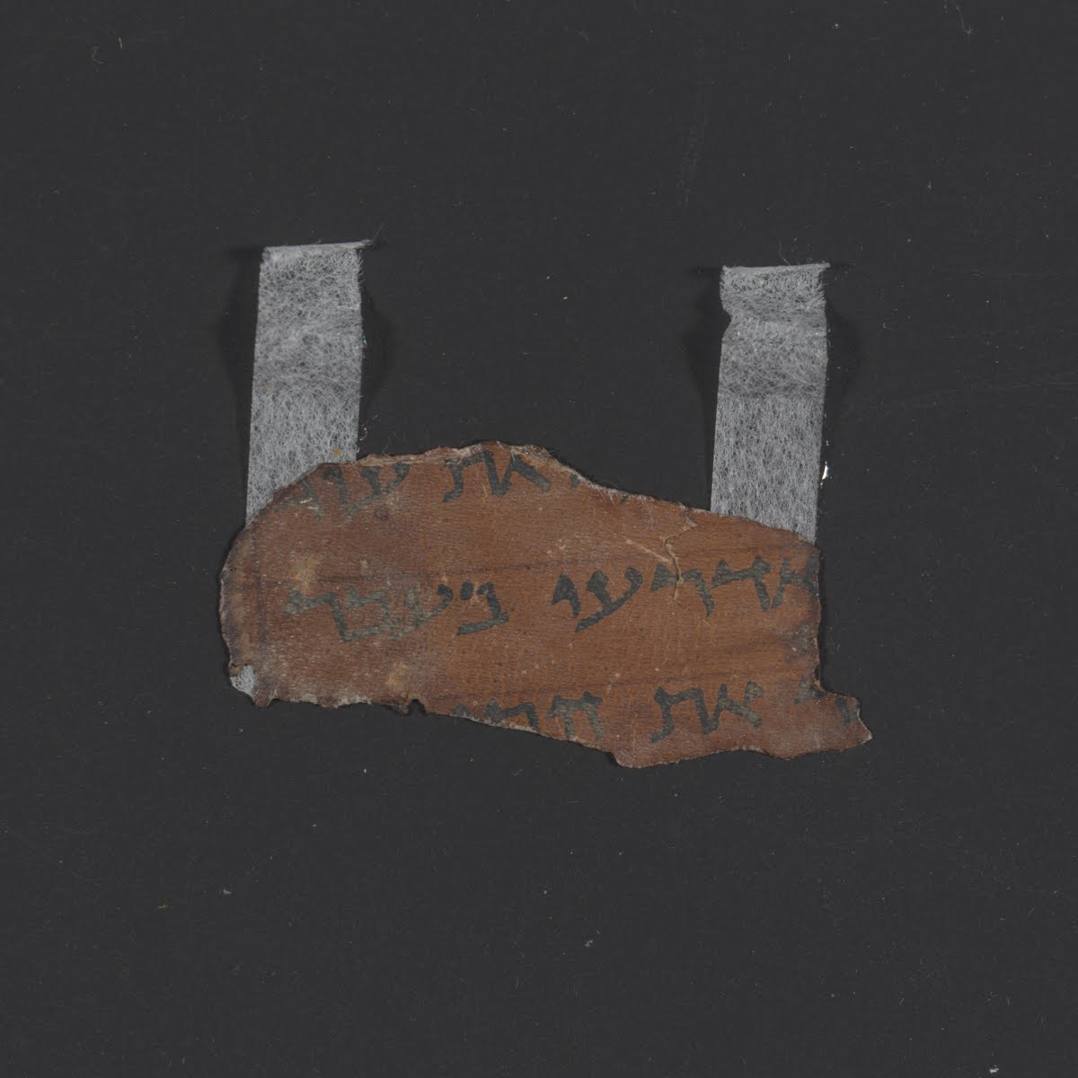11QDeuteronomy showing Deuteronomy 2:30 from Mid-1st Century AD found in Qumran, Cave 11, currently housed at Rockefeller Museum, Jerusalem
