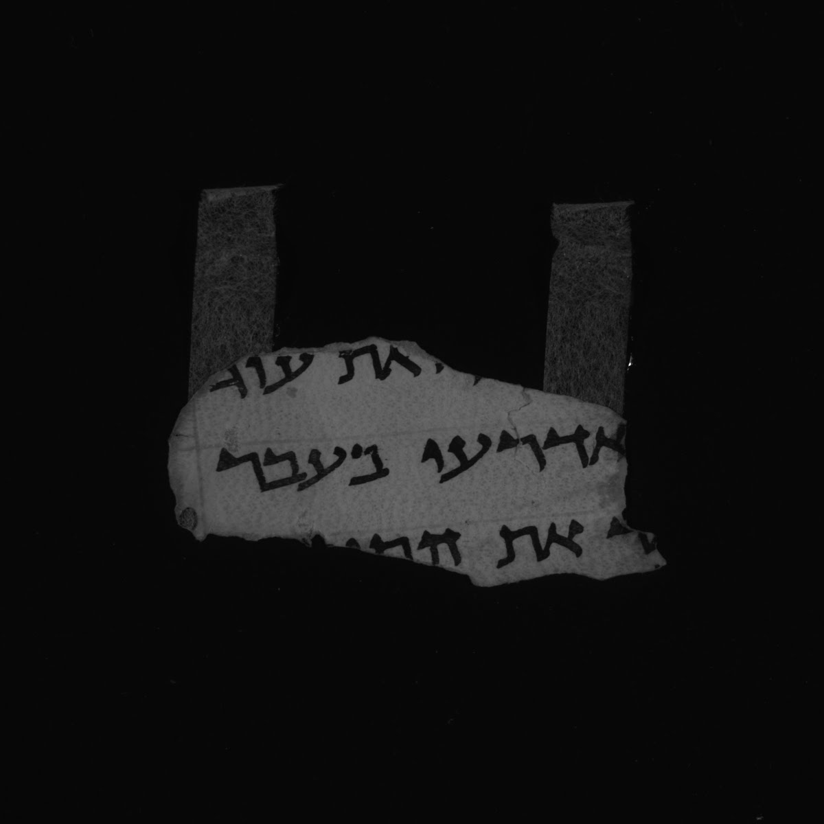 11QDeuteronomy (Scan 1) showing Deuteronomy 1:4 from Mid-1st Century AD found in Qumran, Cave 11, currently housed at Rockefeller Museum, Jerusalem