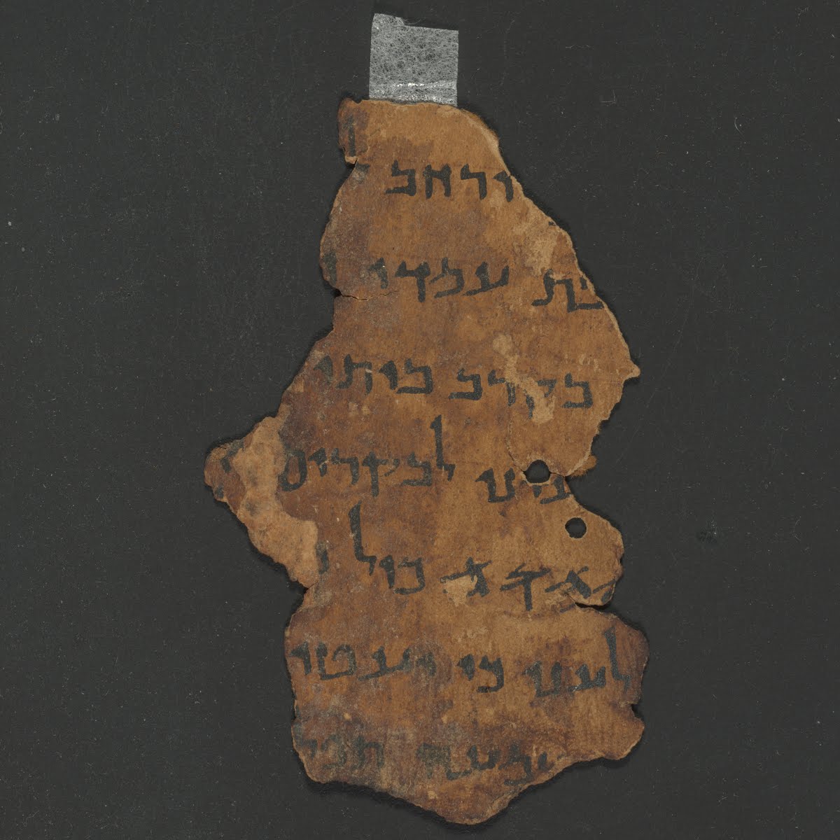 11Q5 (The Great Psalms Scroll) (Scan 1) showing Psalms 100:7 from Herodian found in Qumran Cave 11, currently housed at Shrine of the Book, Israel Museum, Jerusalem