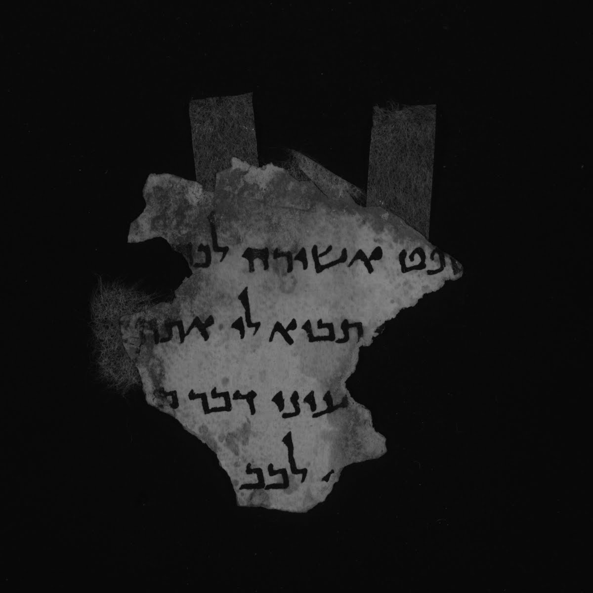 11Q5 (The Great Psalms Scroll) (Scan 1) showing Psalms 100:2 from Herodian found in Qumran Cave 11, currently housed at Shrine of the Book, Israel Museum, Jerusalem