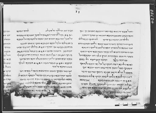 11Q5 (The Great Psalms Scroll) showing Psalms 118:97 from Herodian found in Qumran Cave 11, currently housed at Shrine of the Book, Israel Museum, Jerusalem