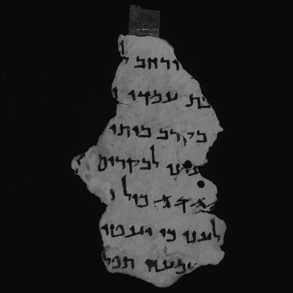 11Q5 (The Great Psalms Scroll) (Scan 3) showing Psalms 100:7 from Herodian found in Qumran Cave 11, currently housed at Shrine of the Book, Israel Museum, Jerusalem