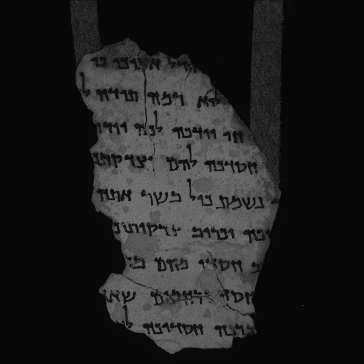 11Q6 (11Q Psalmsᵇ) (Scan 1) showing Psalms 143:2 from Late 1st Century BC – Mid-1st Century AD found in Qumran, Cave 11, currently housed at Rockefeller Museum, Jerusalem
