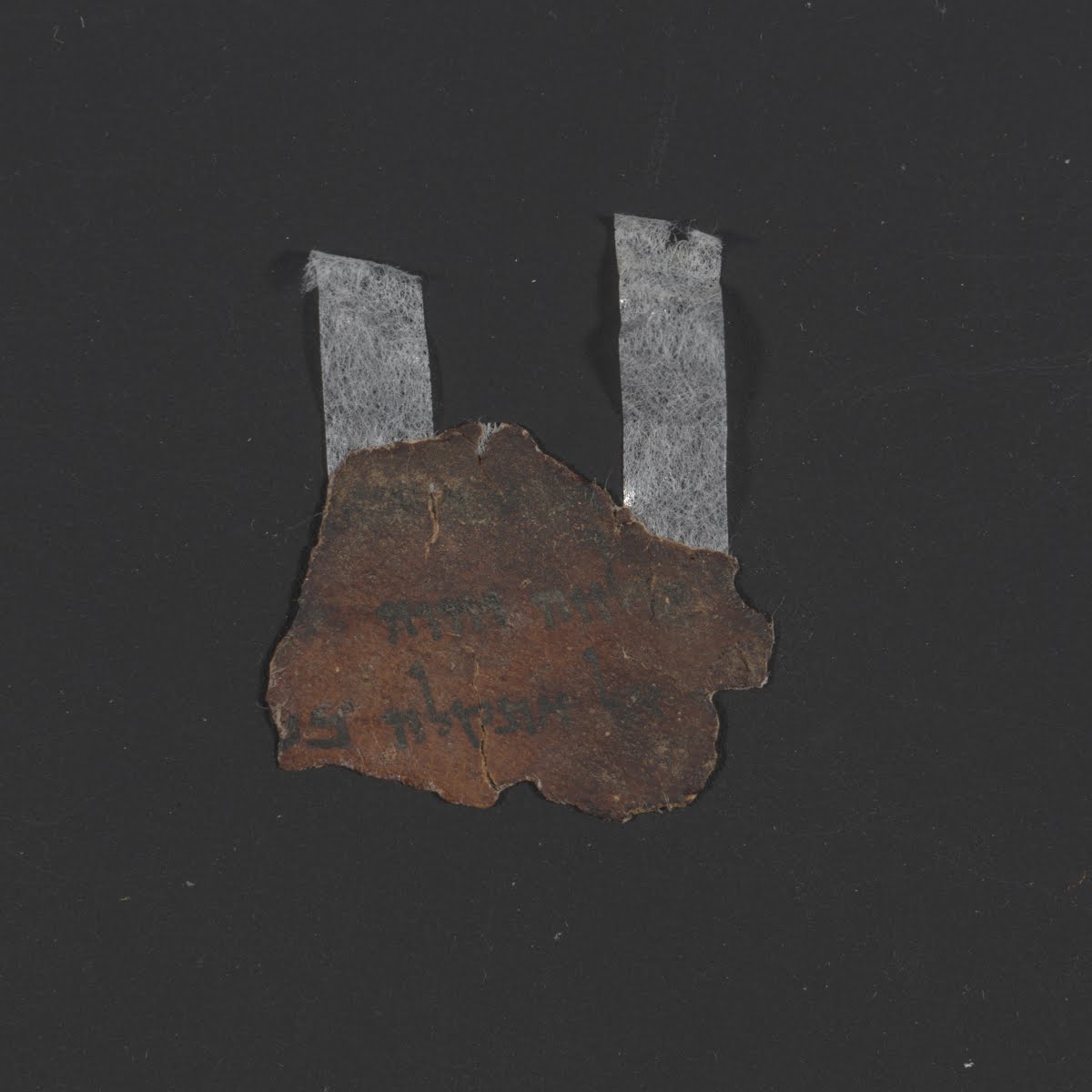 11Q6 (11Q Psalmsᵇ) (Scan 2) showing Psalms 143:2 from Late 1st Century BC – Mid-1st Century AD found in Qumran, Cave 11, currently housed at Rockefeller Museum, Jerusalem