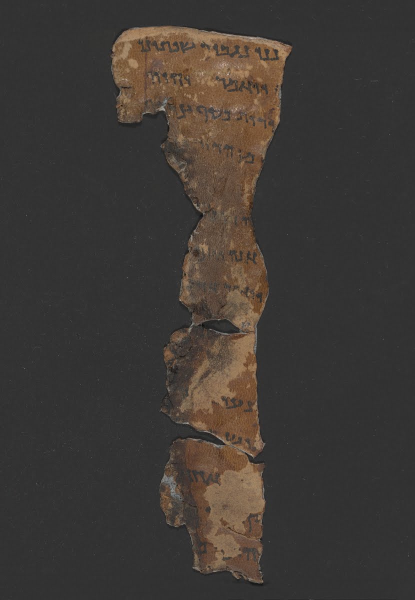 11Q Psalms c showing Psalms 2:7 from Late 1st Century BC - Early 1st Century AD found in Qumran, Cave 11, currently housed at Rockefeller Museum, Jerusalem