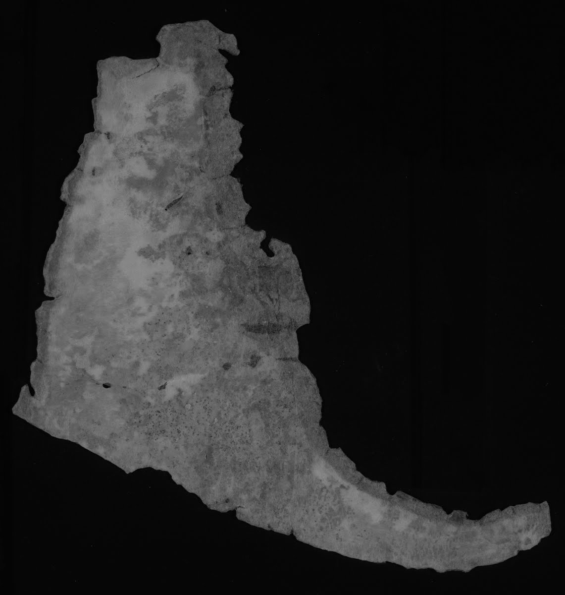 11Q Psalms c showing Psalms 12:2 from Late 1st Century BC - Early 1st Century AD found in Qumran, Cave 11, currently housed at Rockefeller Museum, Jerusalem