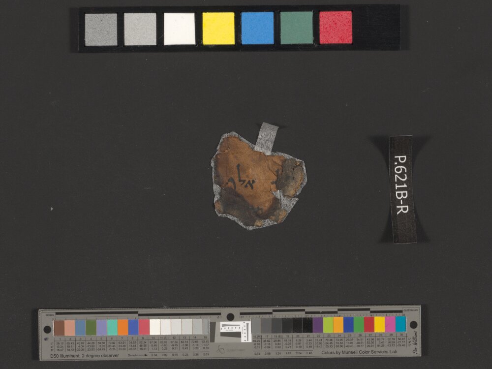 11QPsalmsᵈ showing Psalms 44:6 from Late 1st Century BC – Mid-1st Century AD found in Qumran, Cave 11, currently housed at Israel Antiquities Authority, Jerusalem