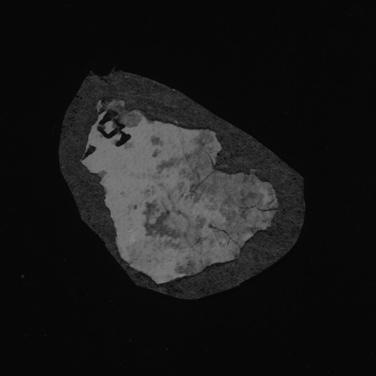 11QPsalmsᵈ showing Psalms 6:3 from Late 1st Century BC – Mid-1st Century AD found in Qumran, Cave 11, currently housed at Israel Antiquities Authority, Jerusalem