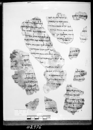 11QPsalmsᵈ showing Psalms 58:7 from Late 1st Century BC – Mid-1st Century AD found in Qumran, Cave 11, currently housed at Israel Antiquities Authority, Jerusalem